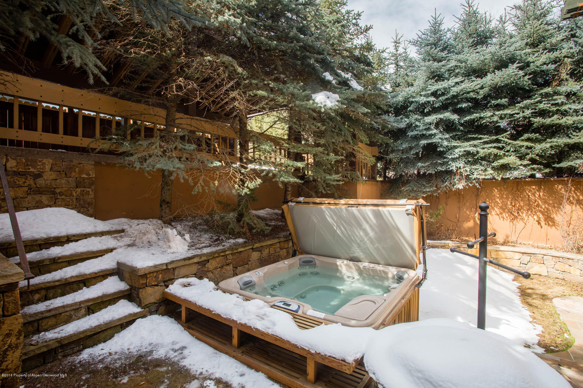 237 W Hopkins Avenue Aspen CO 81611