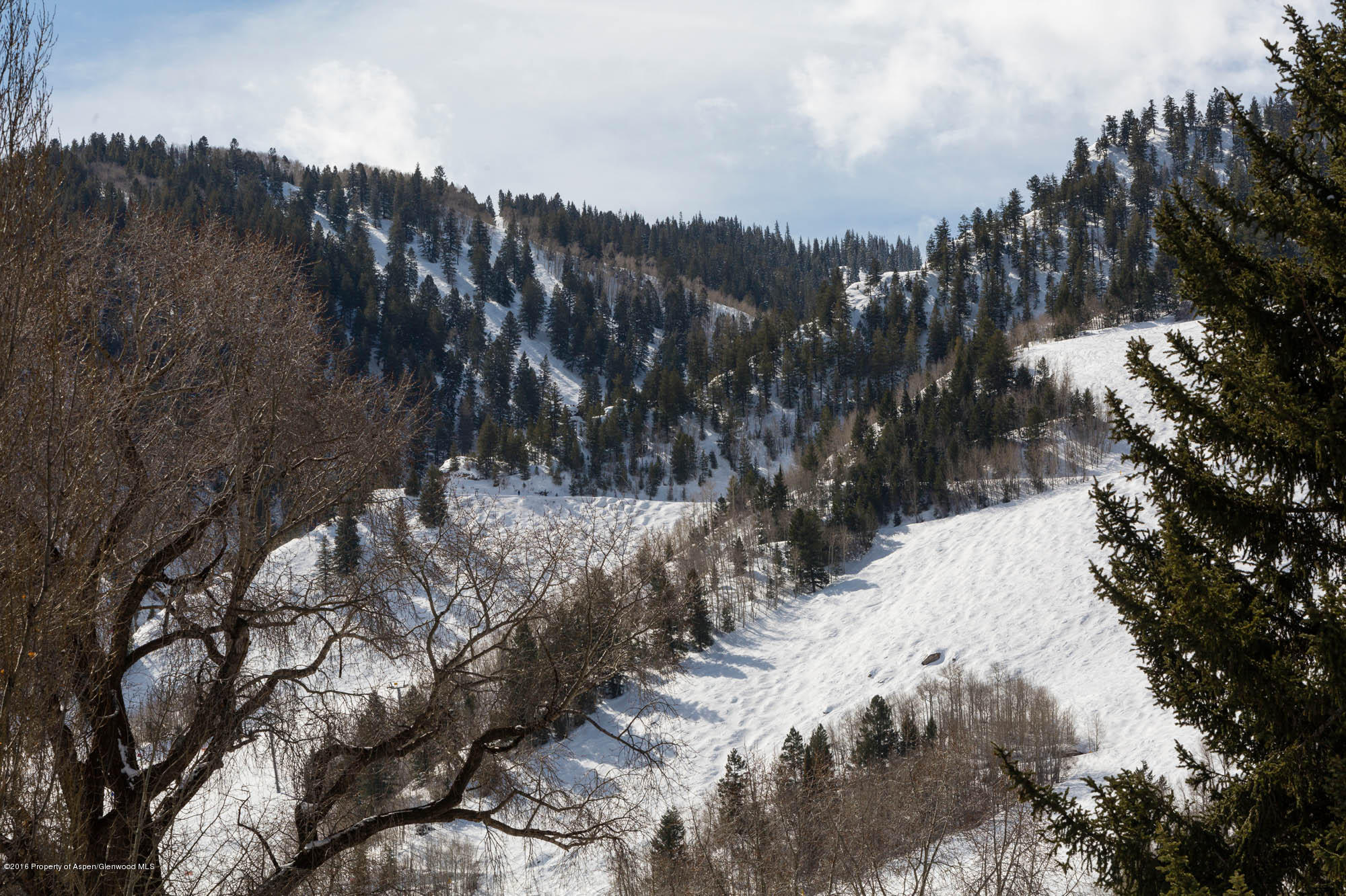 237 W Hopkins Avenue Aspen CO 81611