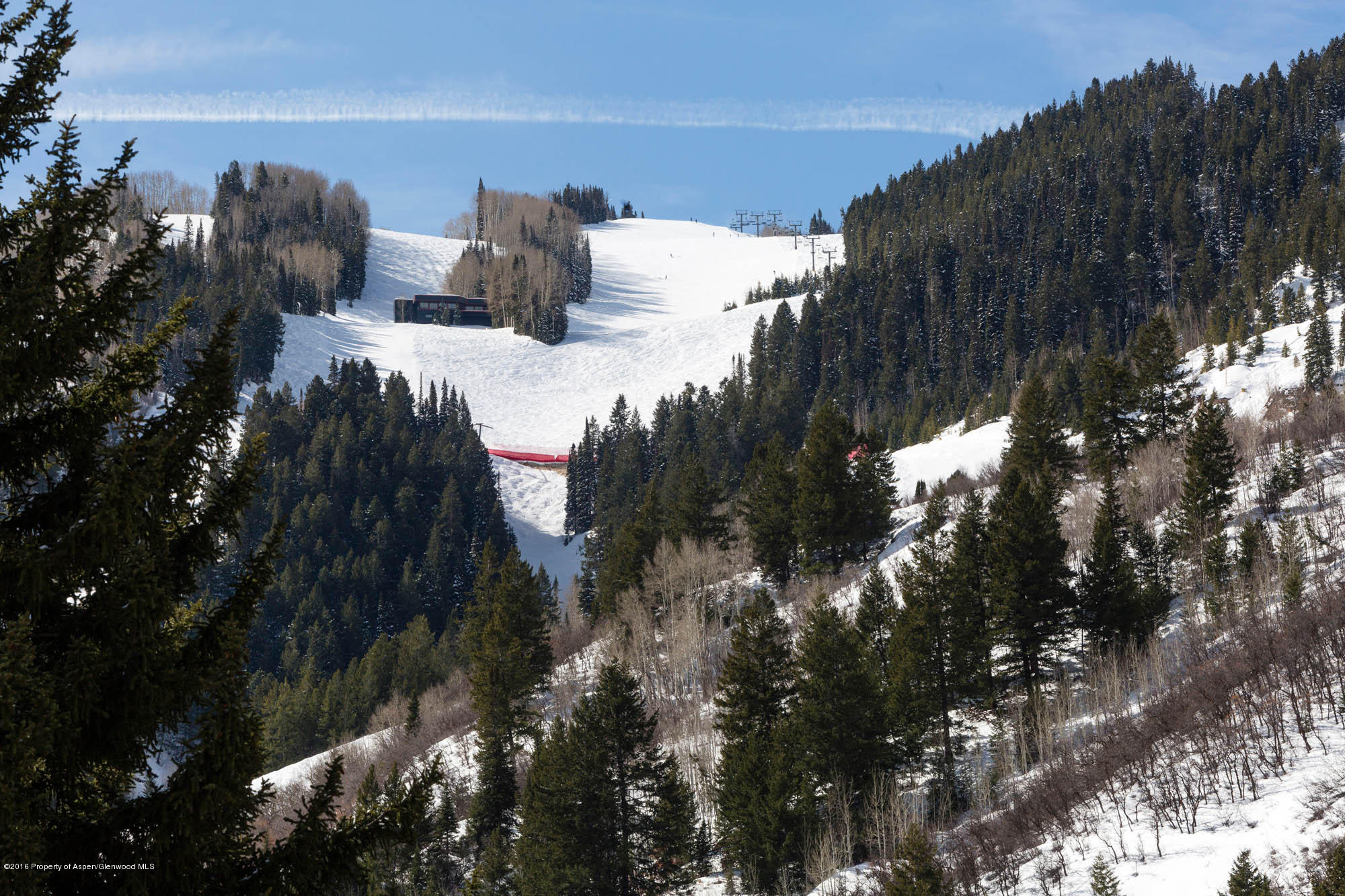 237 W Hopkins Avenue Aspen CO 81611