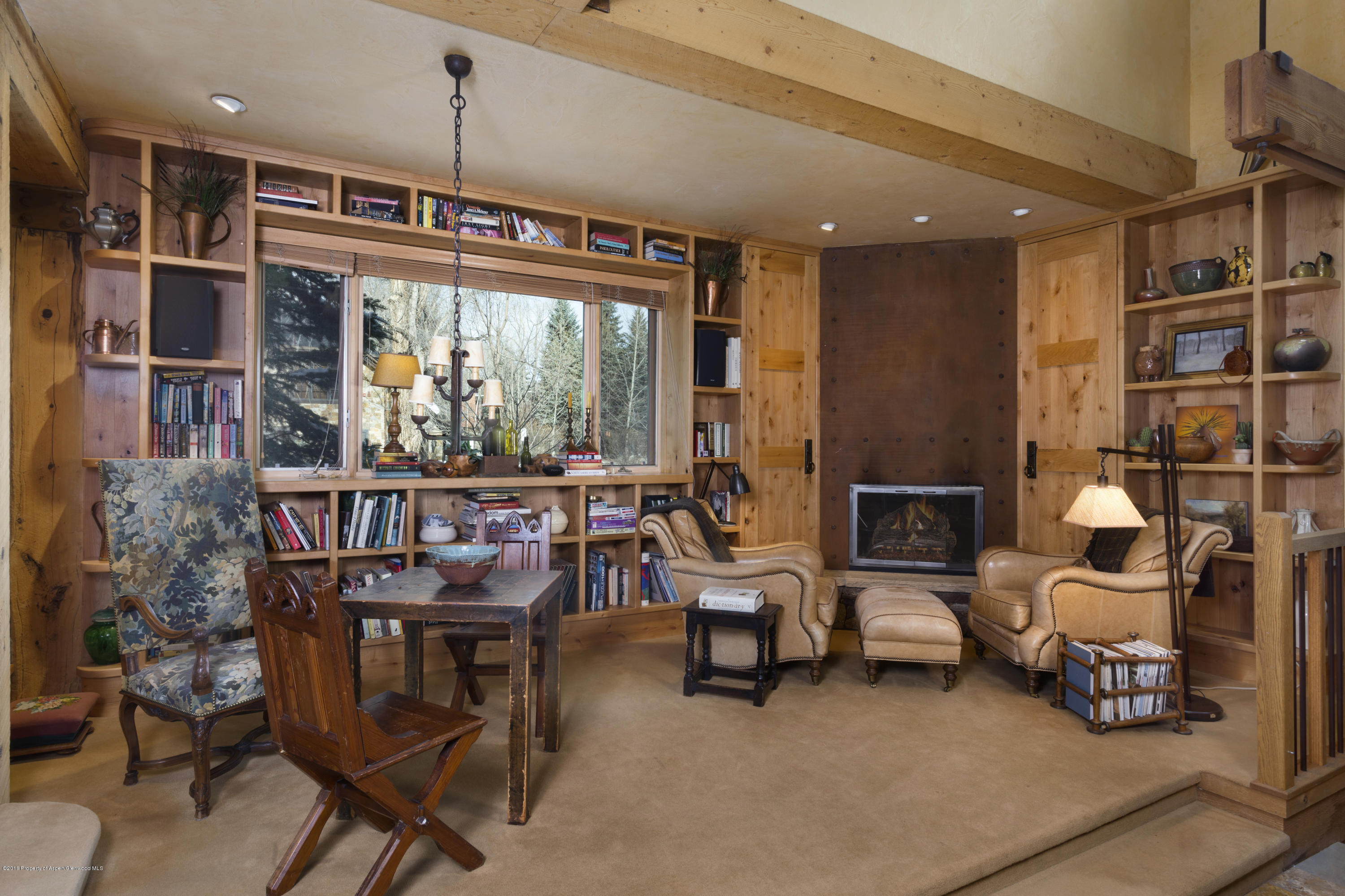 237 W Hopkins Avenue Aspen CO 81611