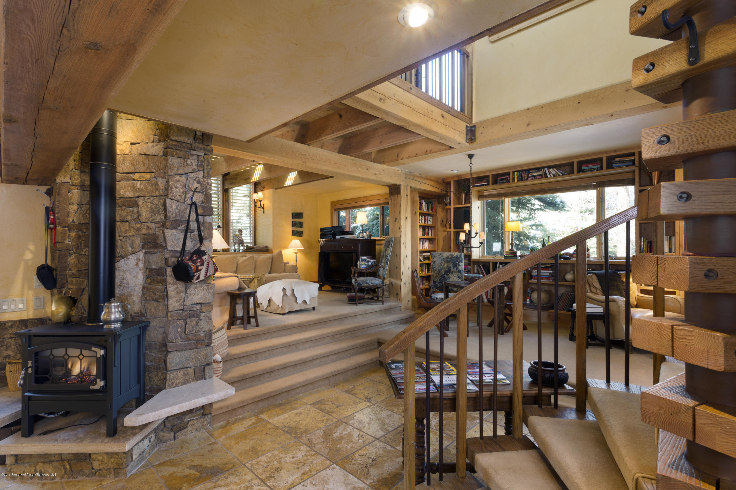 237 W Hopkins Avenue Aspen CO 81611