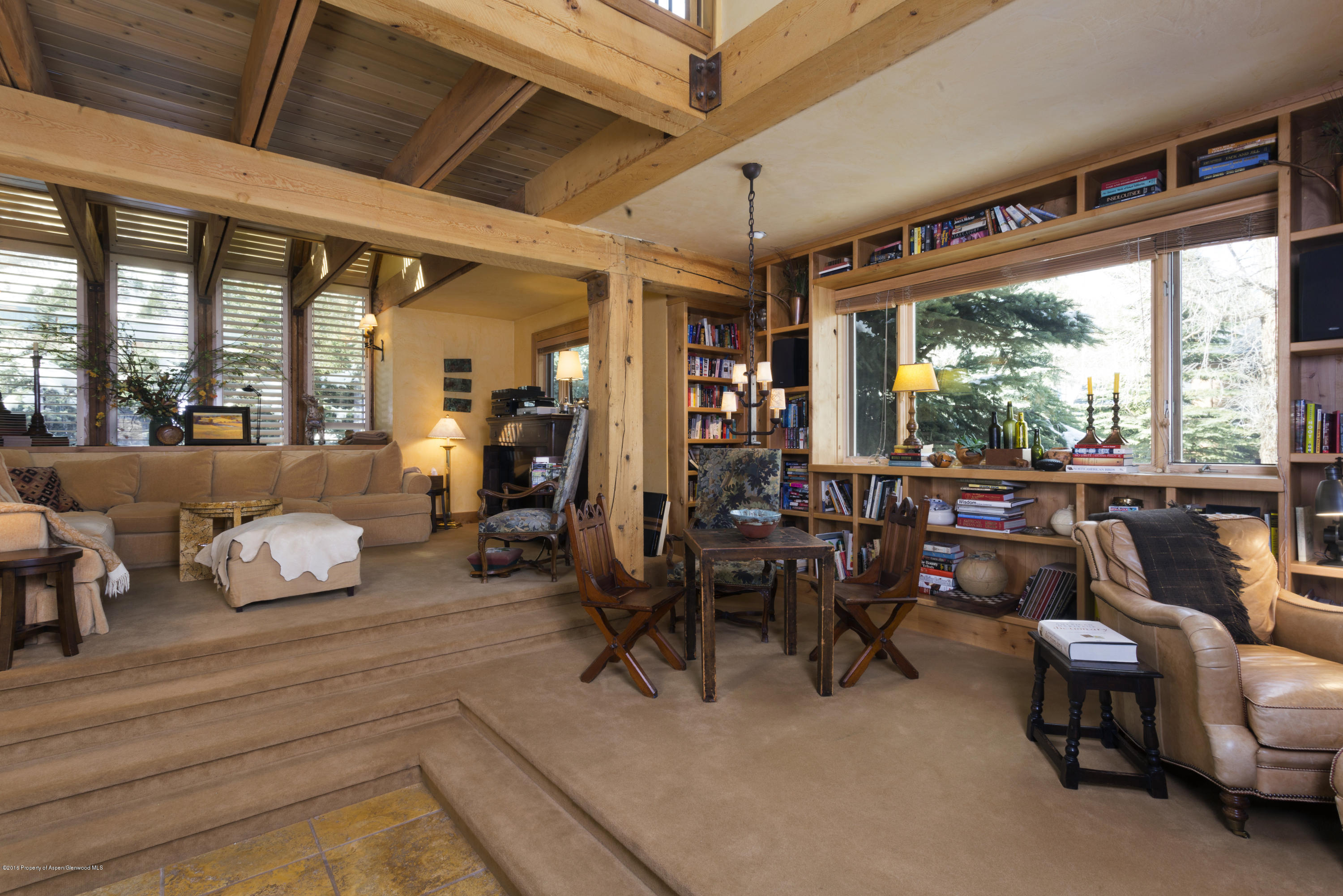 237 W Hopkins Avenue Aspen CO 81611