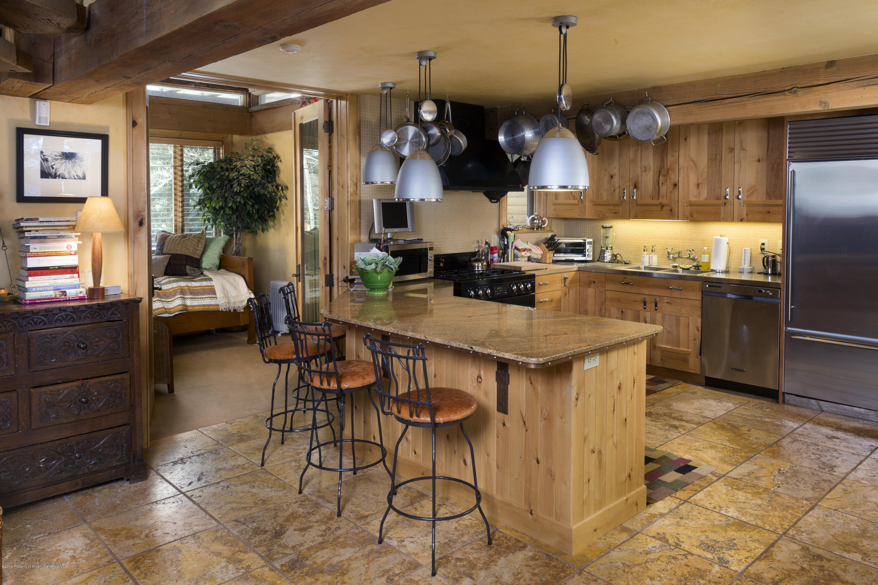 237 W Hopkins Avenue Aspen CO 81611