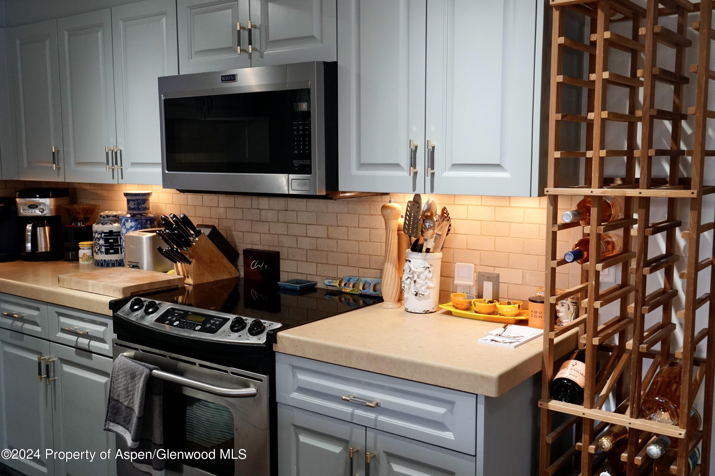 630 E Cooper Avenue Aspen CO 81611