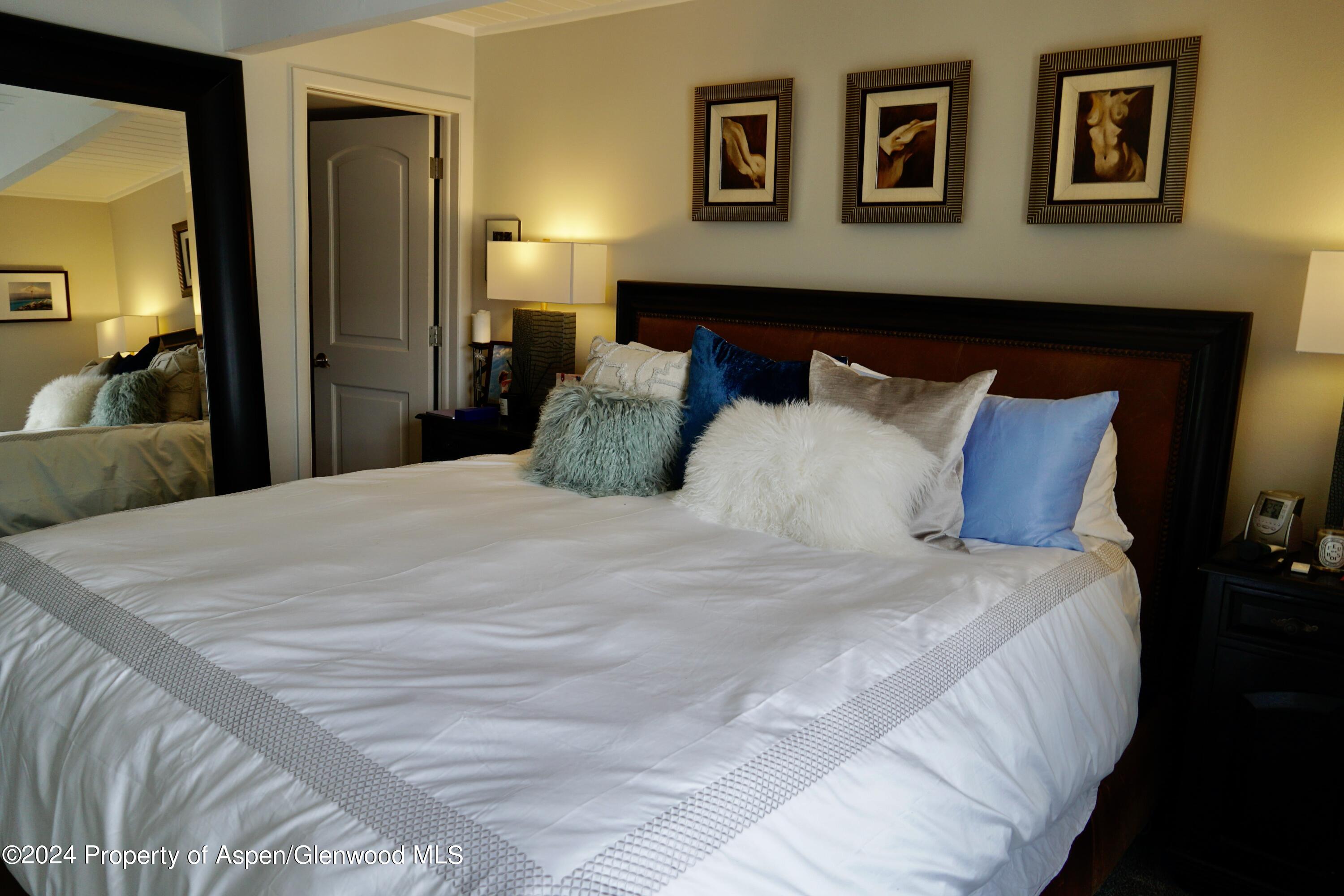 630 E Cooper Avenue Aspen CO 81611