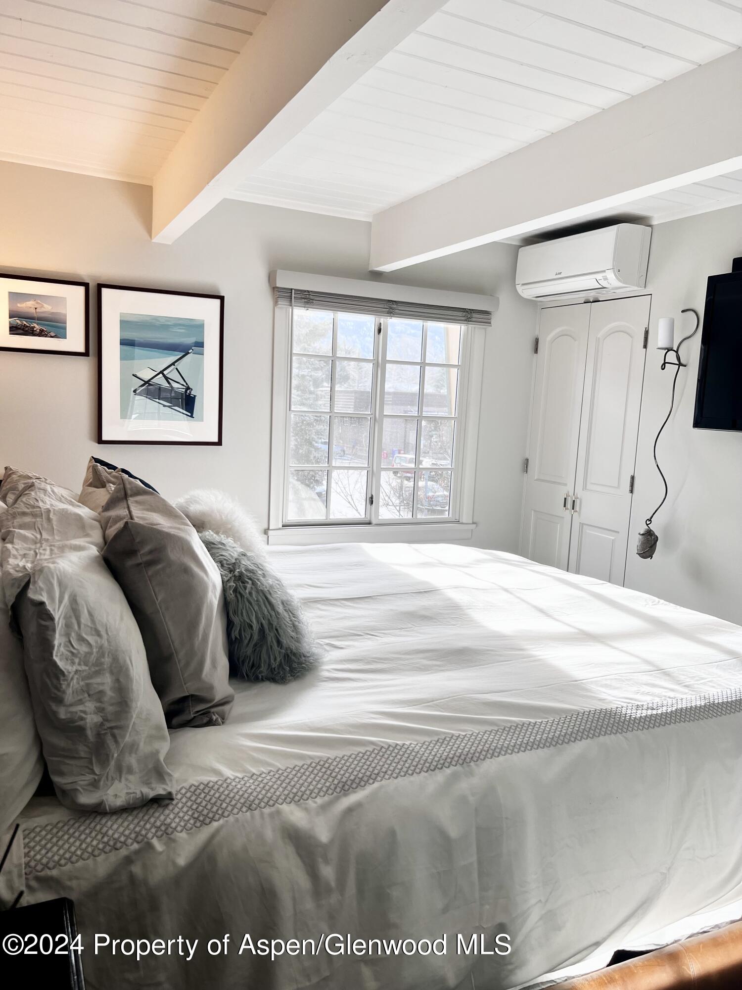 630 E Cooper Avenue Aspen CO 81611