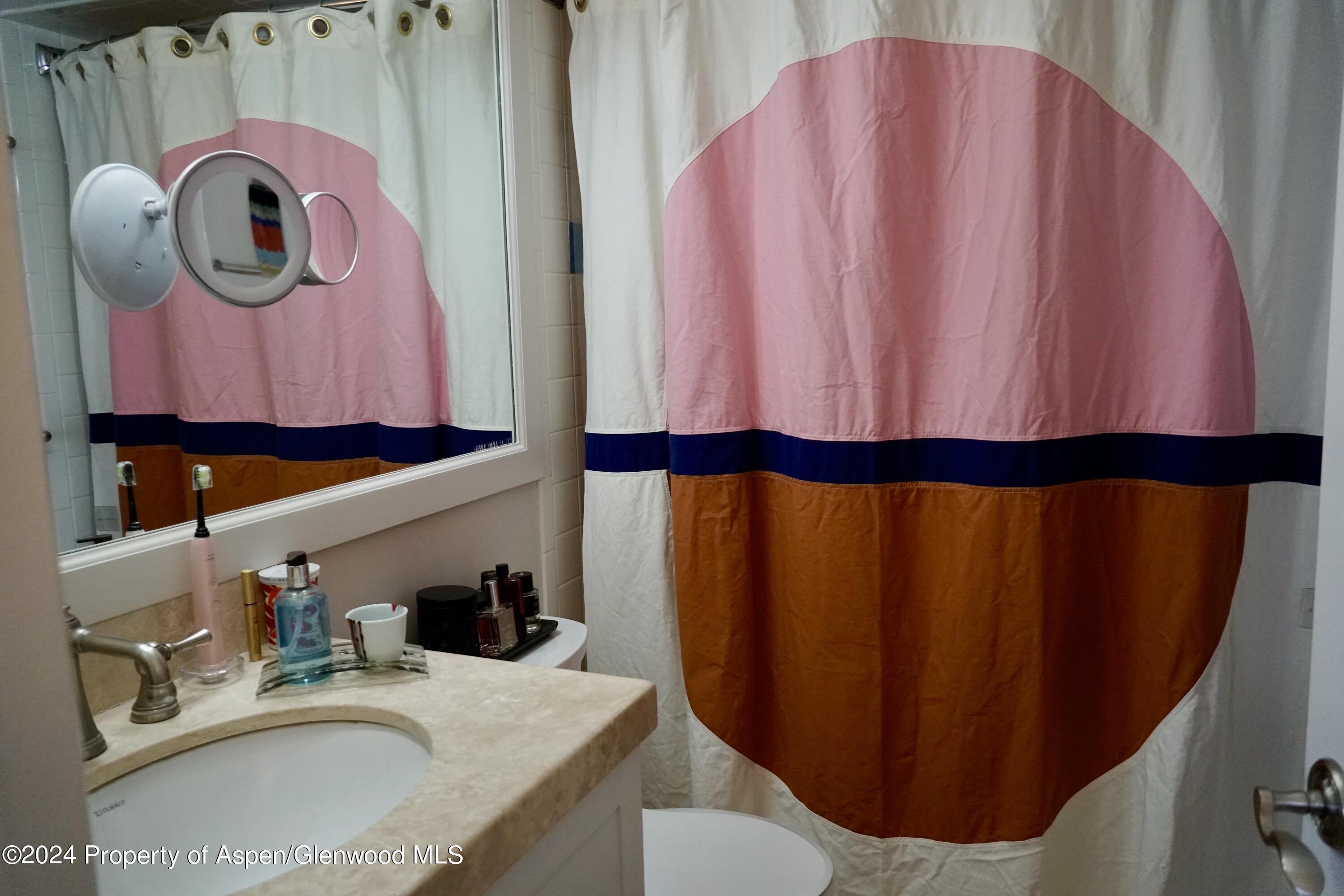 630 E Cooper Avenue Aspen CO 81611