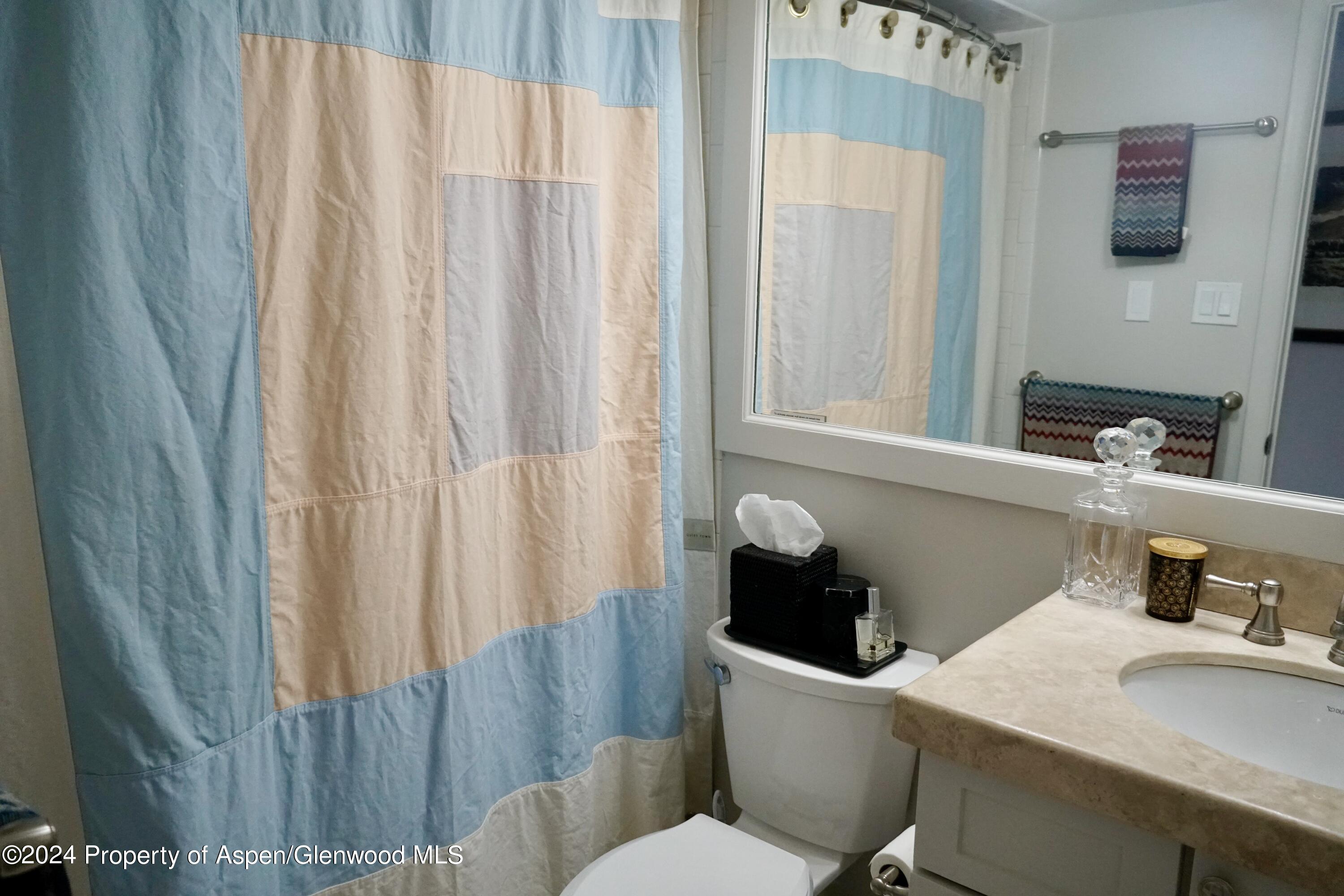 630 E Cooper Avenue Aspen CO 81611