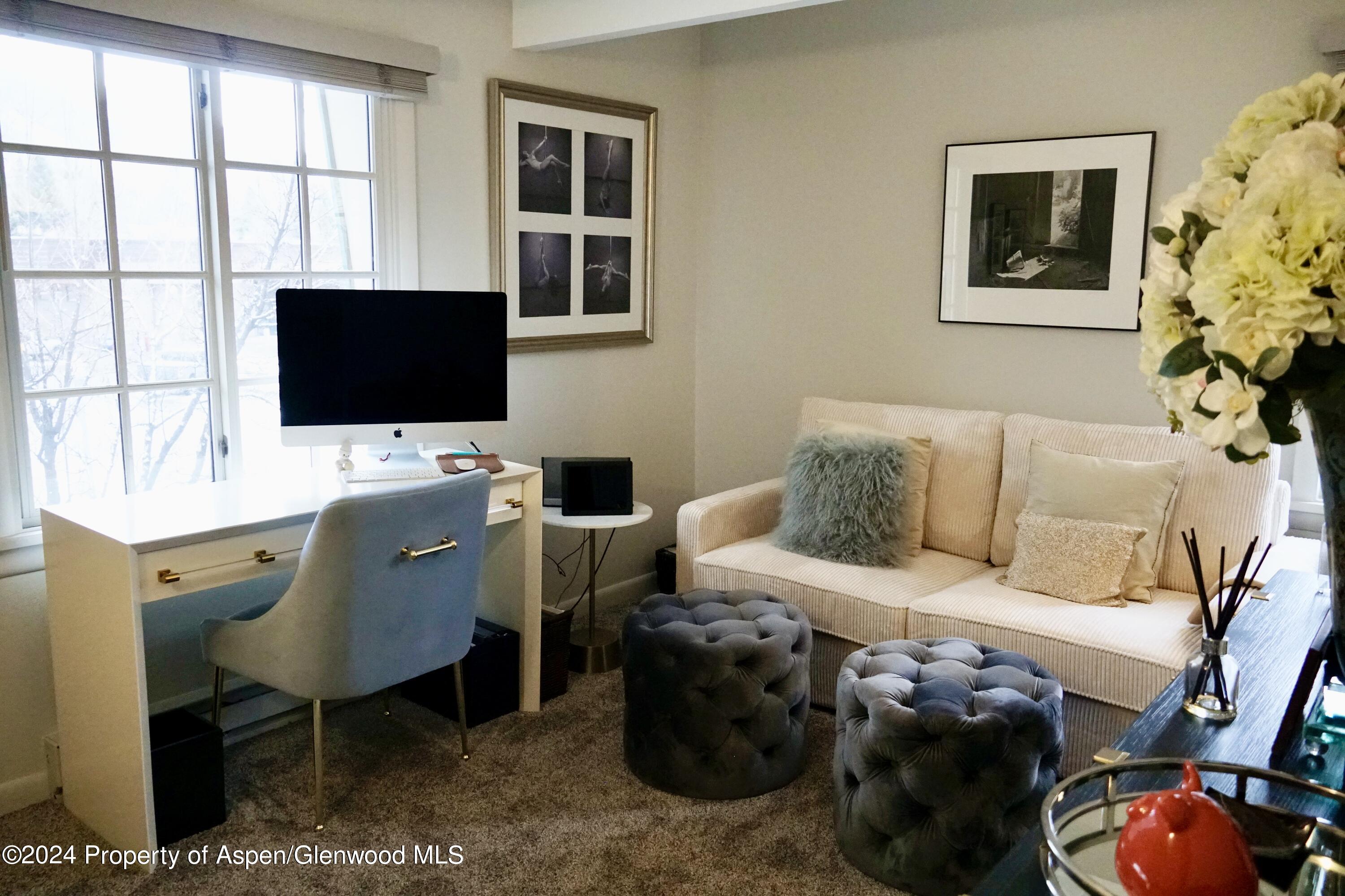 630 E Cooper Avenue Aspen CO 81611