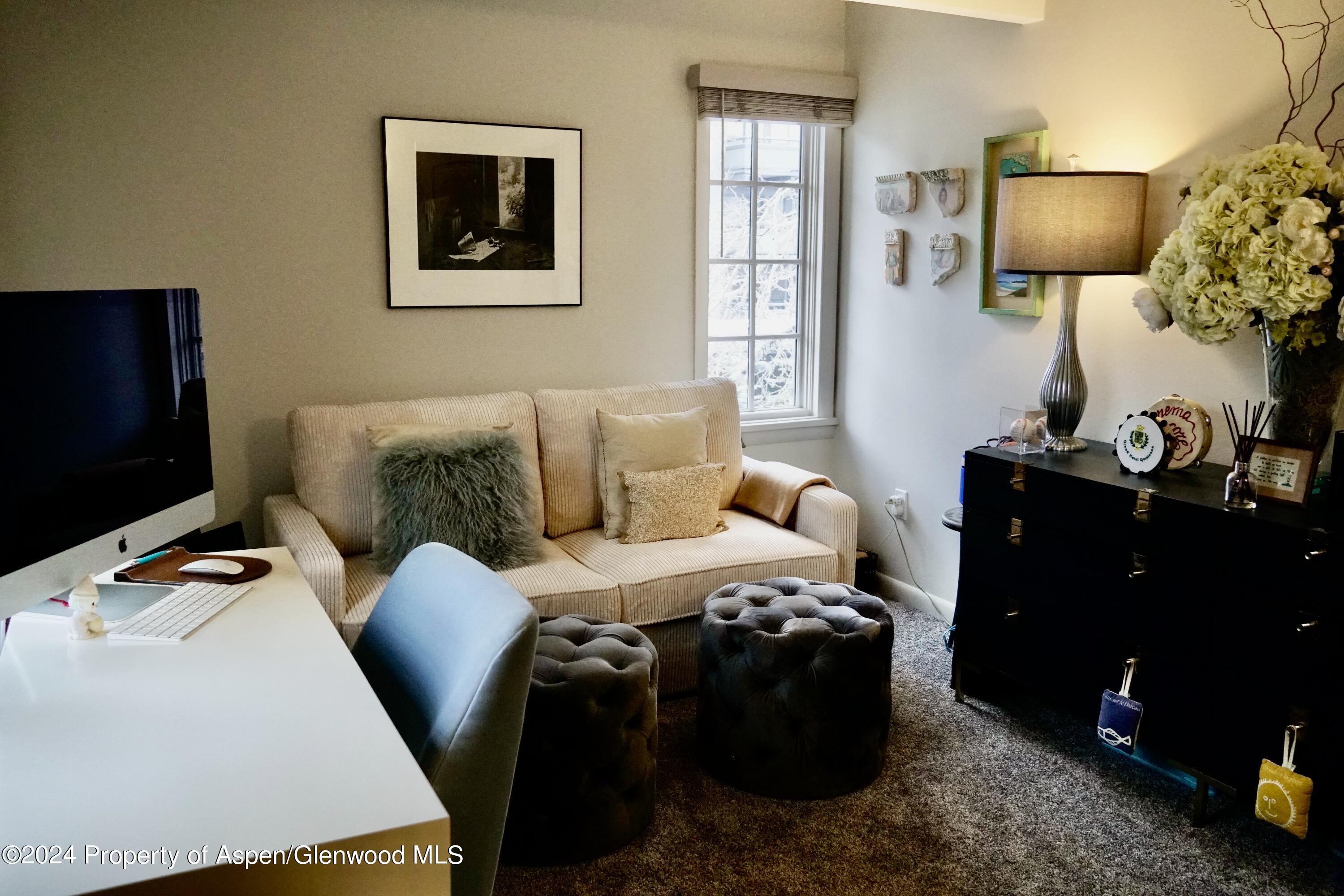 630 E Cooper Avenue Aspen CO 81611