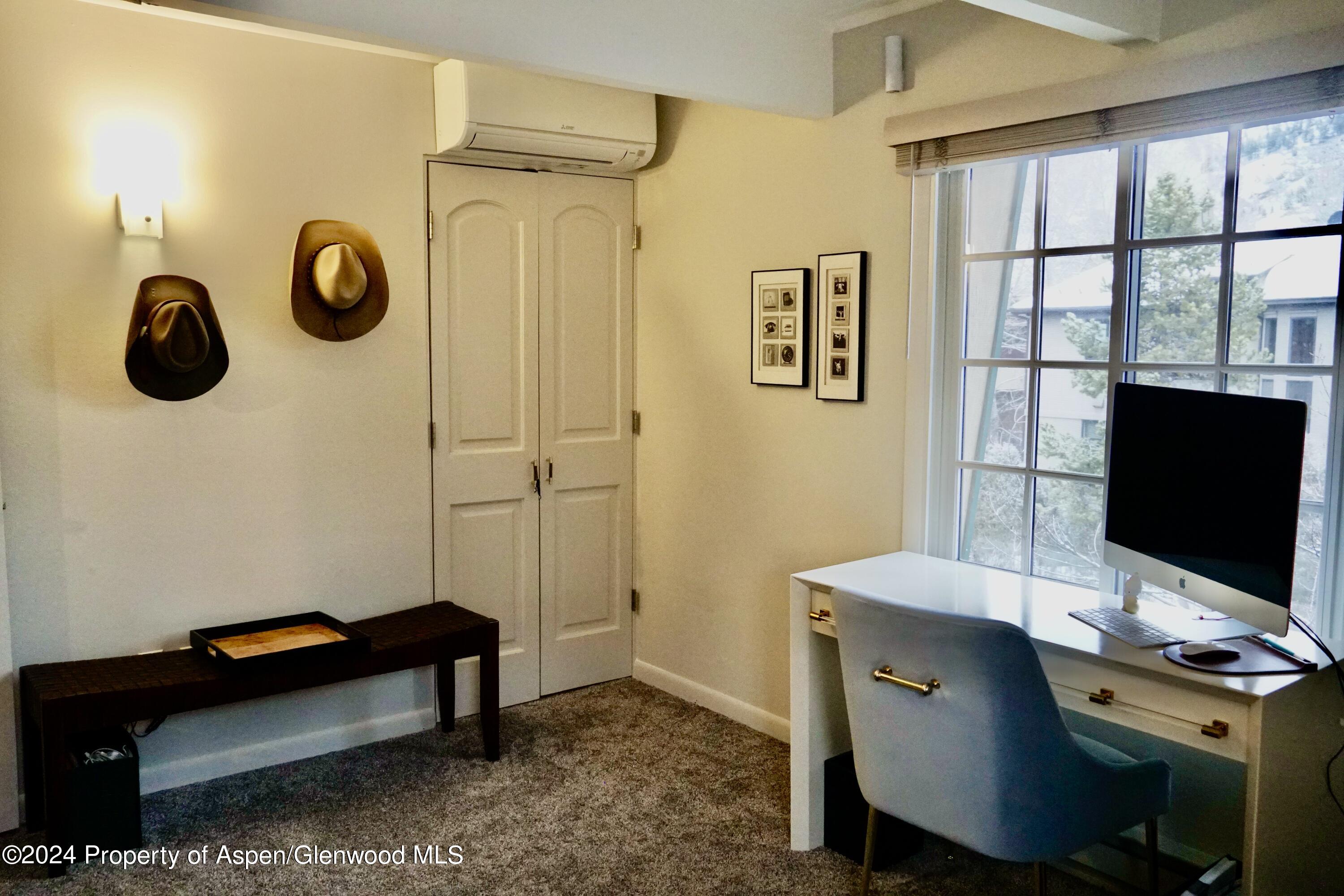 630 E Cooper Avenue Aspen CO 81611