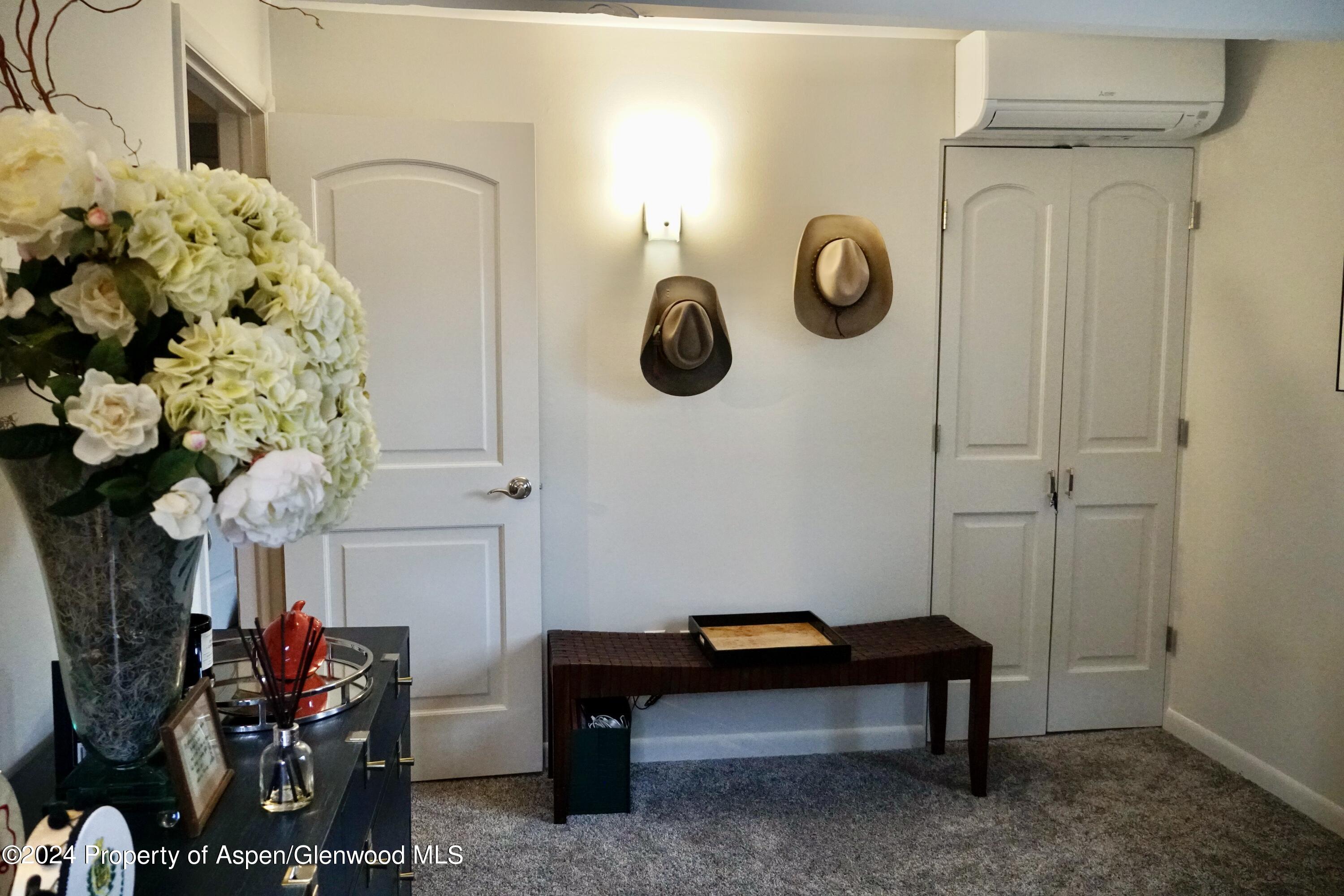 630 E Cooper Avenue Aspen CO 81611