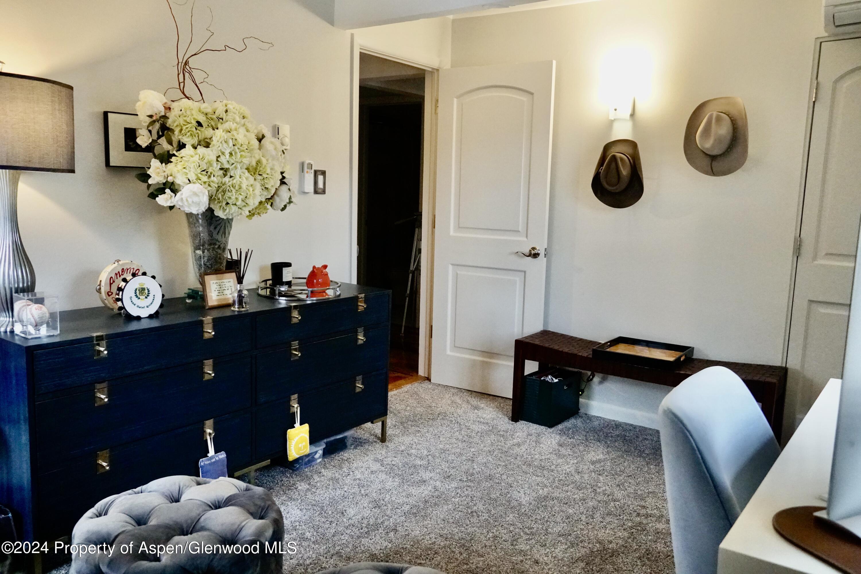 630 E Cooper Avenue Aspen CO 81611