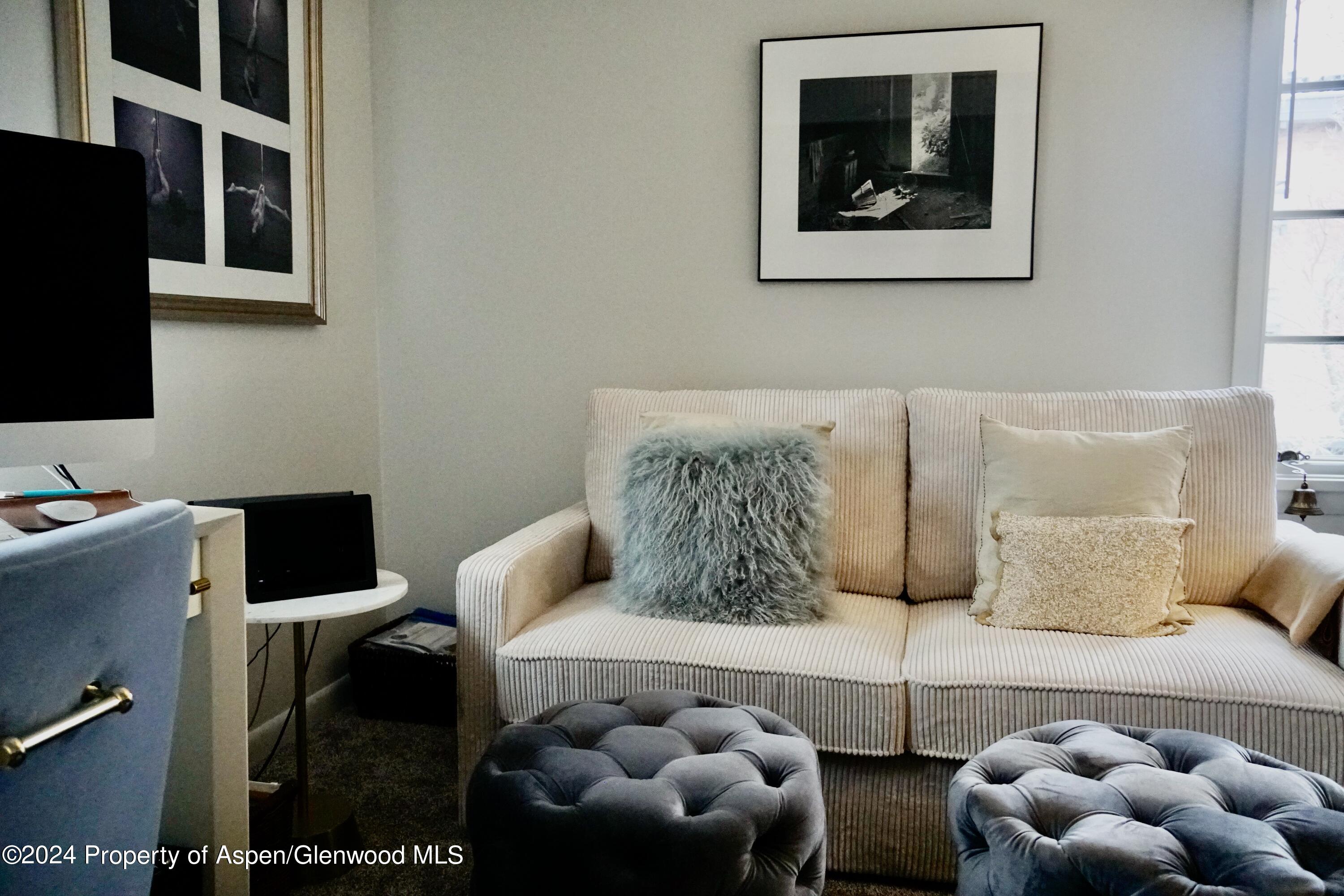 630 E Cooper Avenue Aspen CO 81611