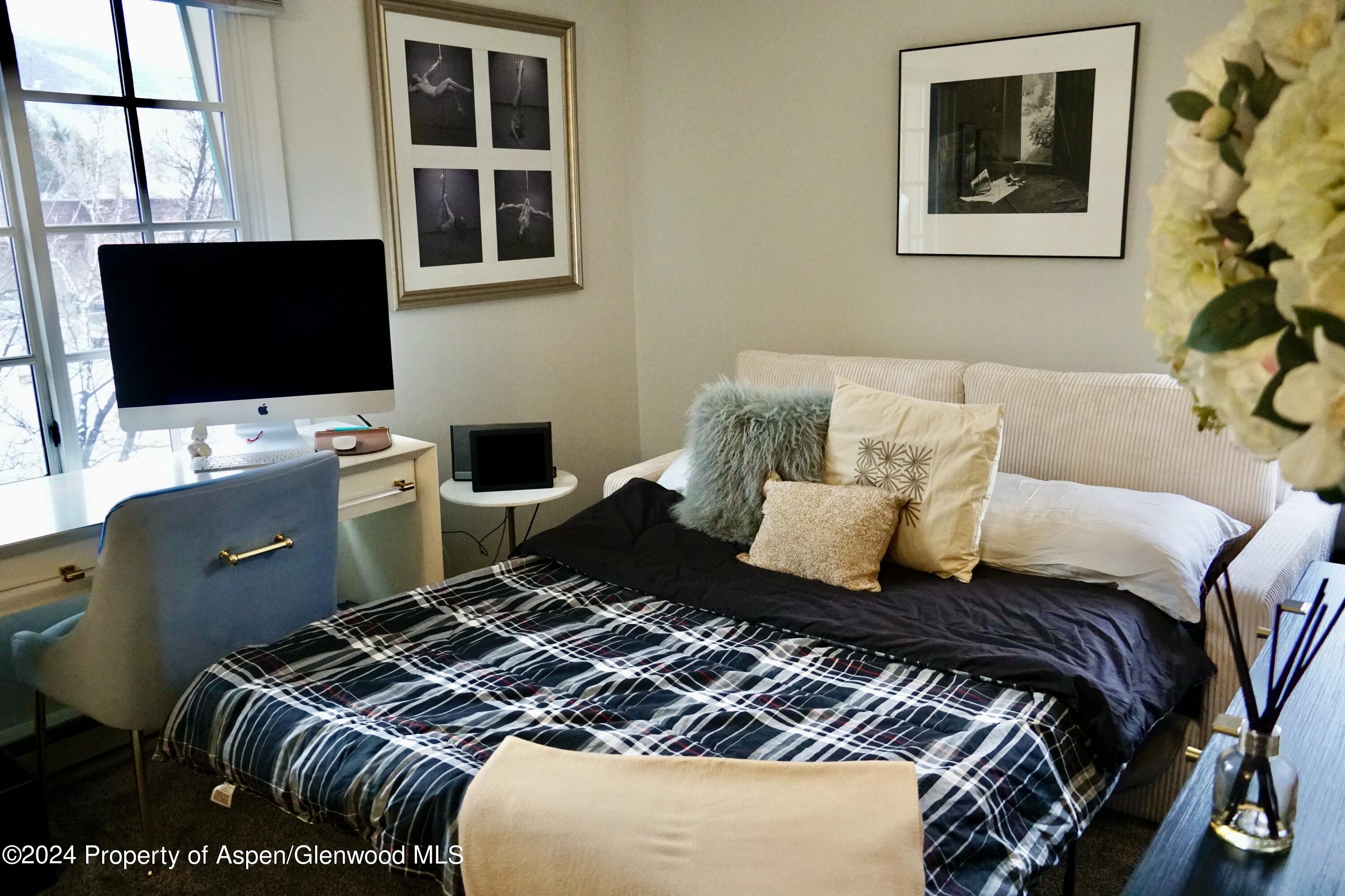 630 E Cooper Avenue Aspen CO 81611