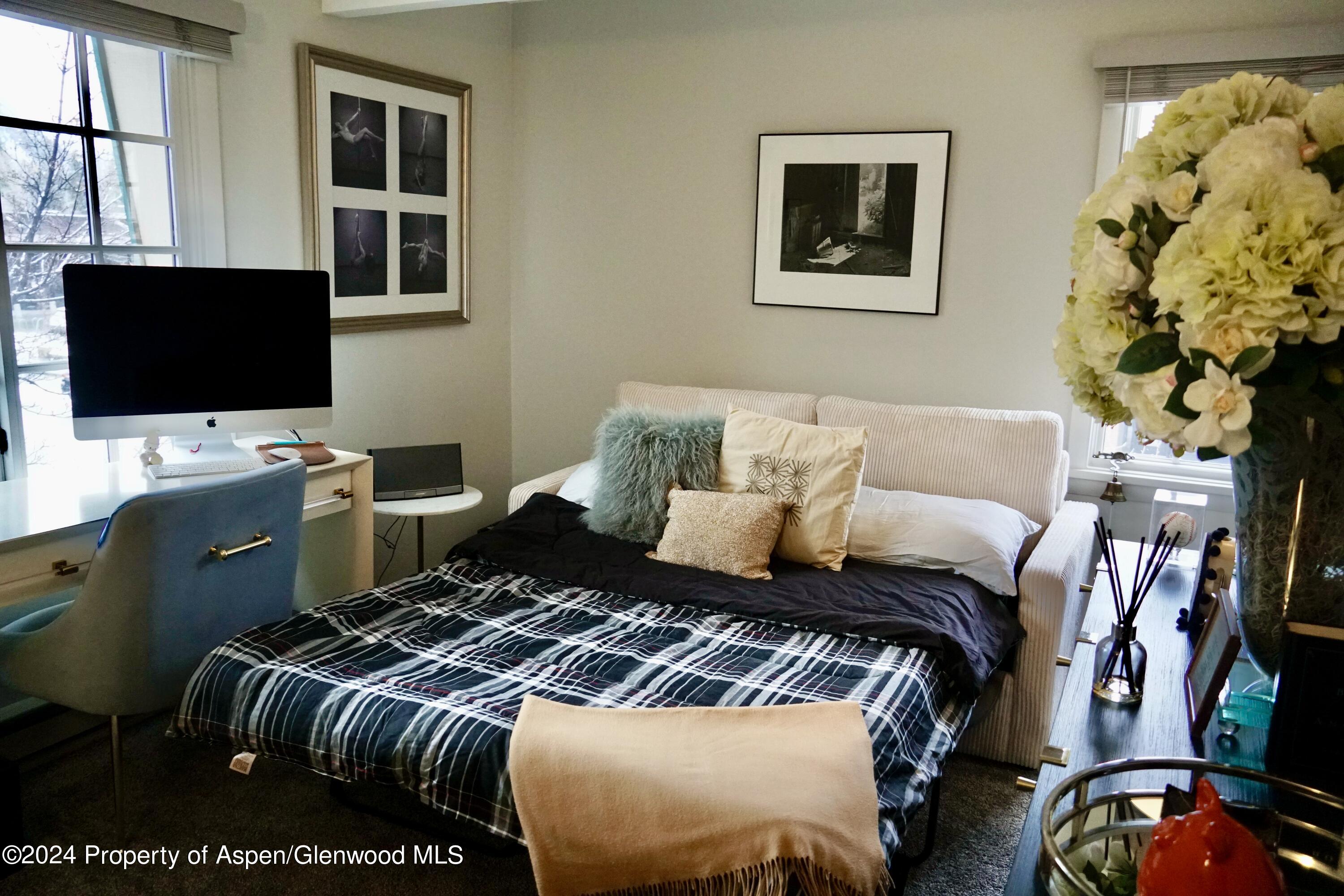 630 E Cooper Avenue Aspen CO 81611