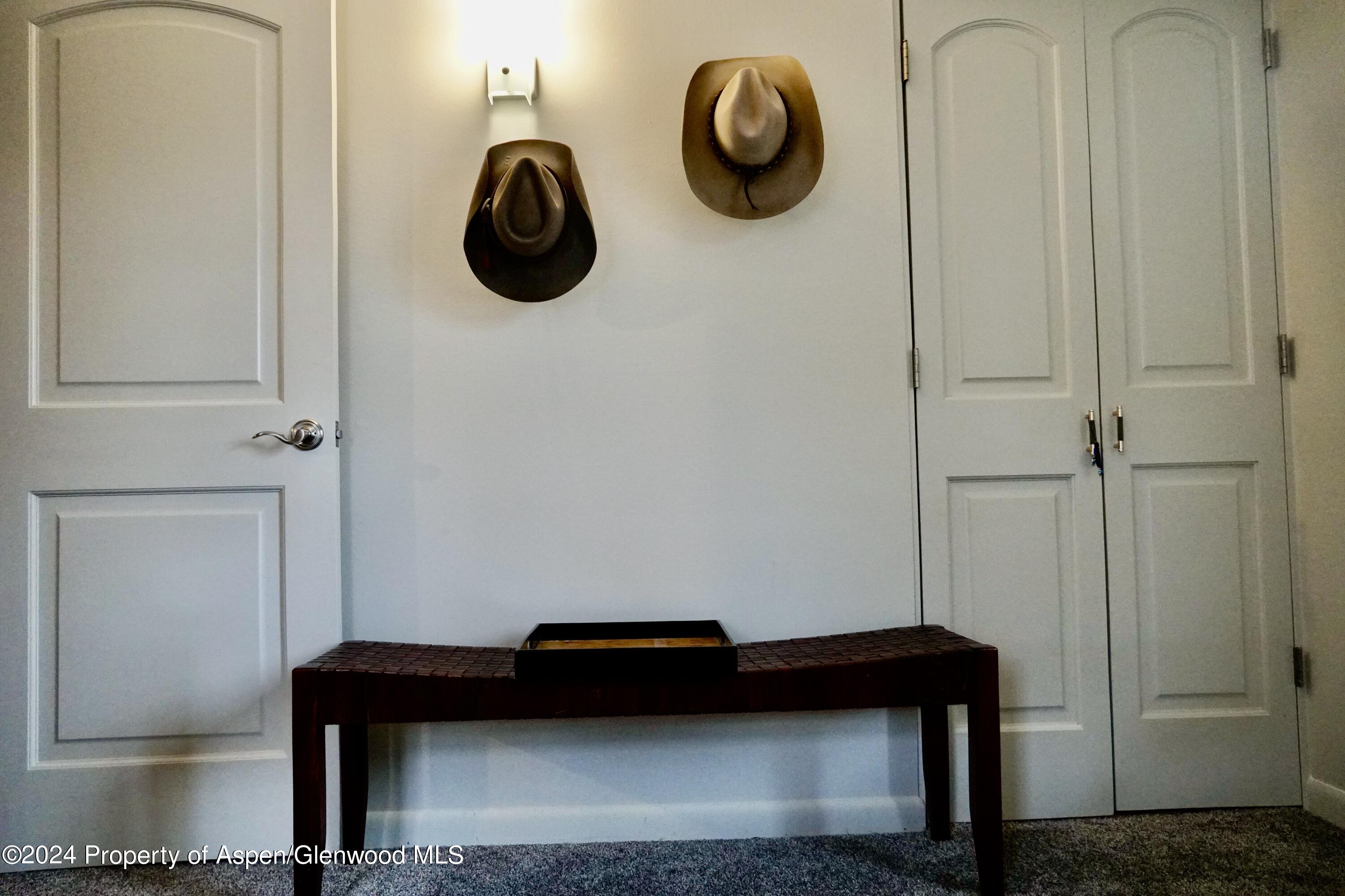 630 E Cooper Avenue Aspen CO 81611