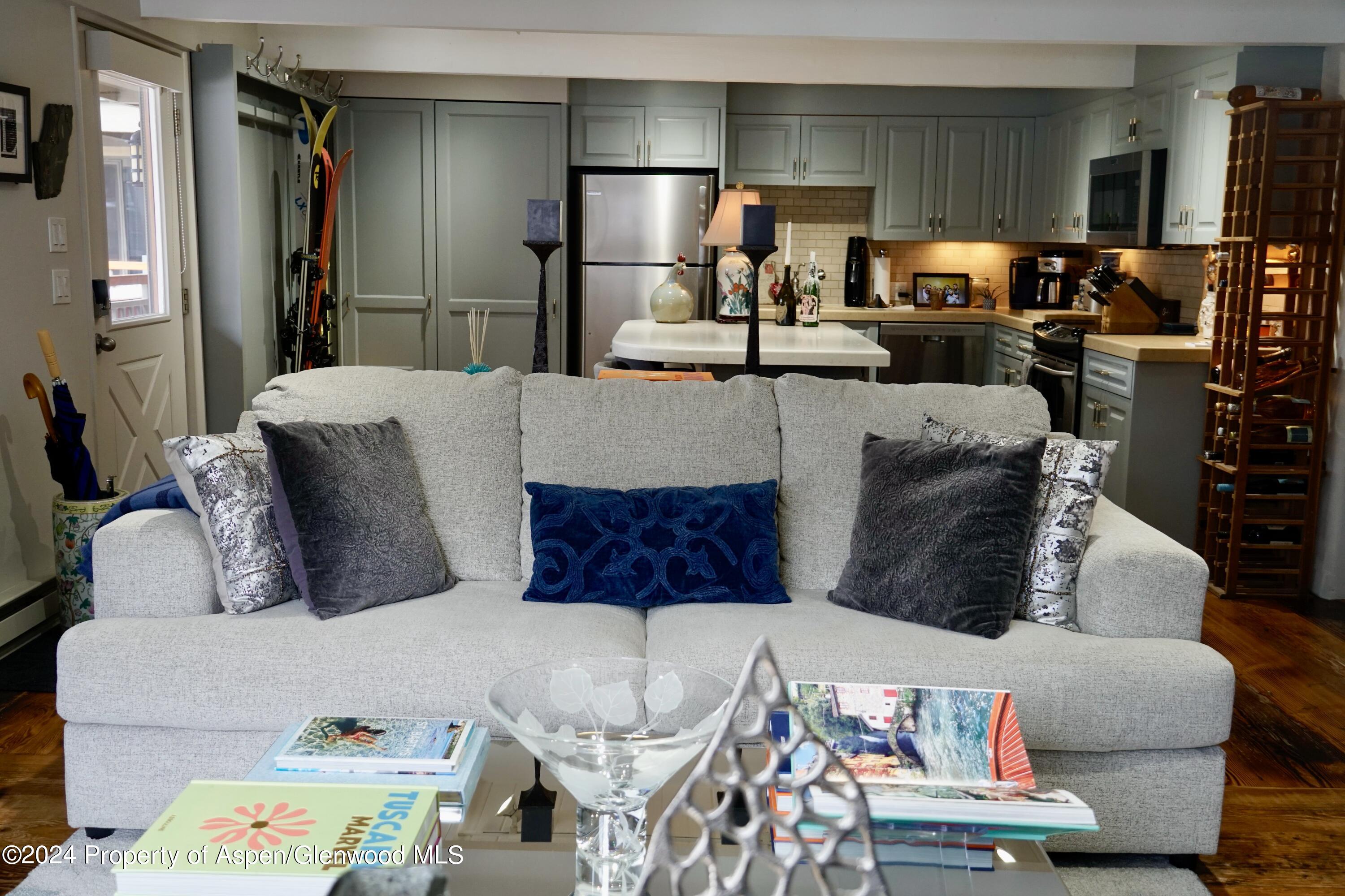 630 E Cooper Avenue Aspen CO 81611