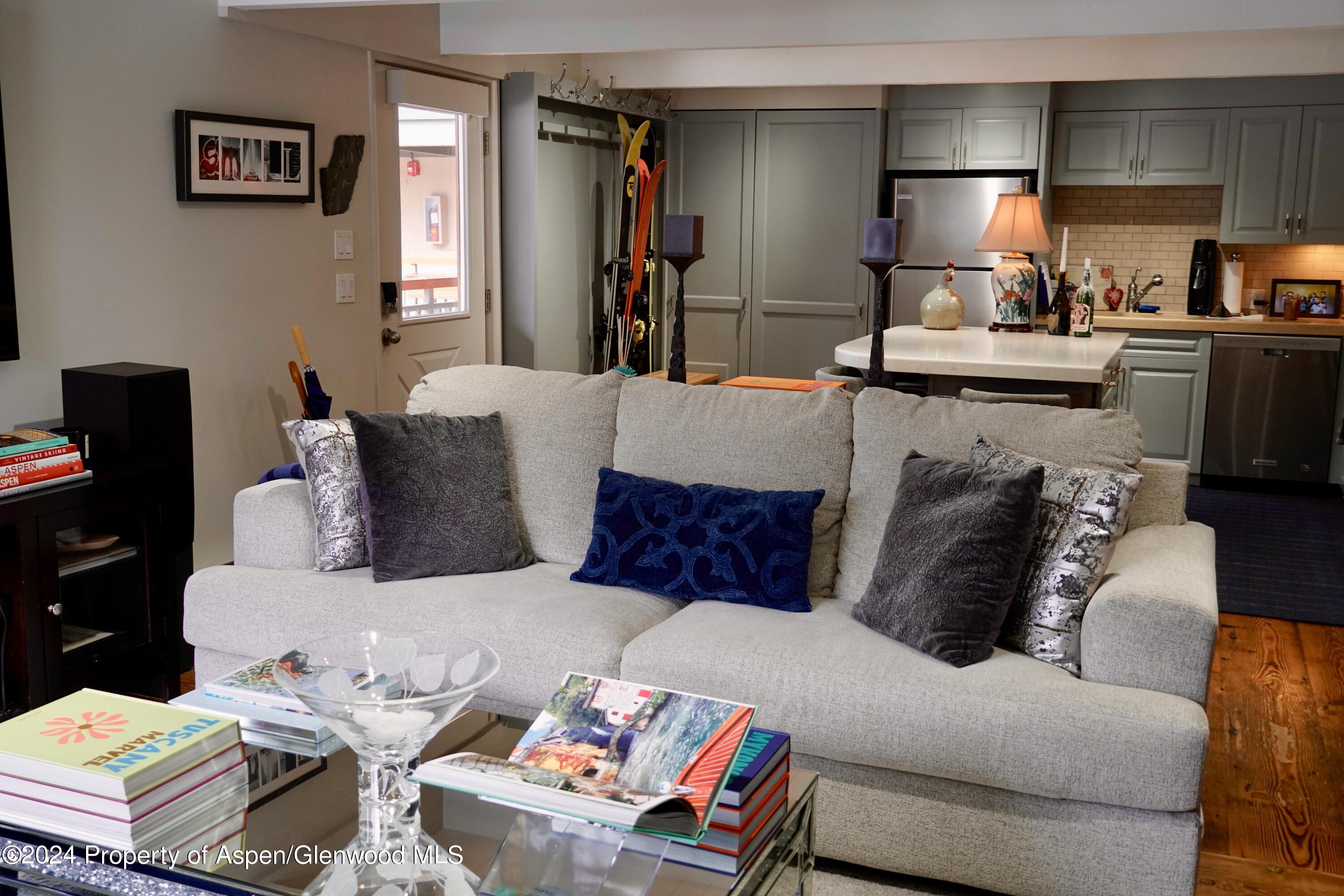 630 E Cooper Avenue Aspen CO 81611