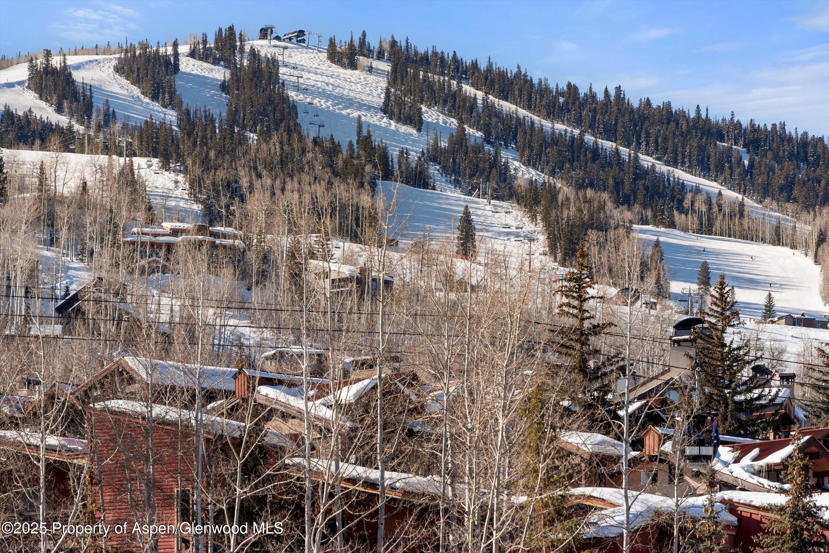 130 Wood Road Snowmass Village CO 81615