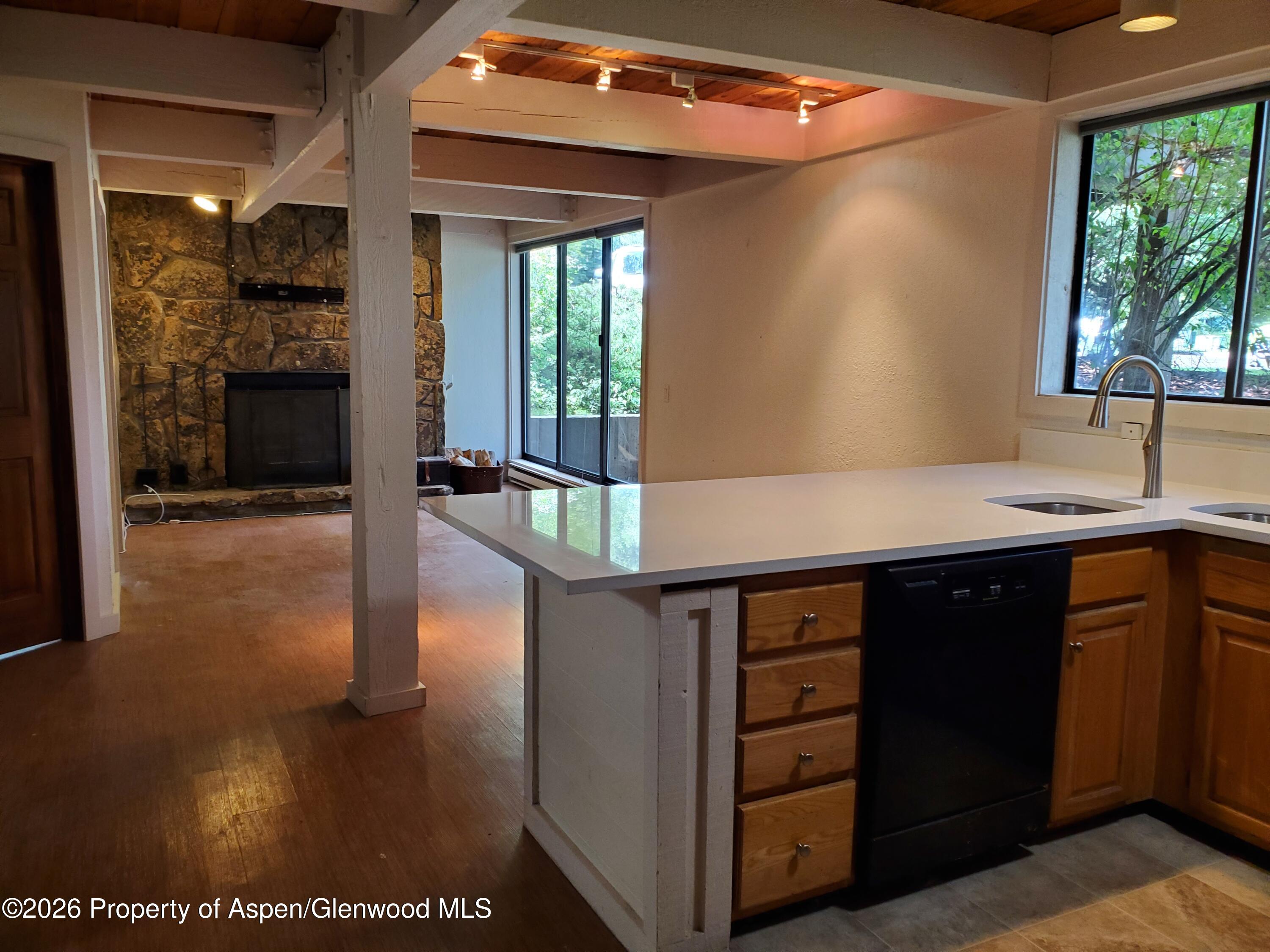 101 E Cooper Avenue Aspen CO 81611