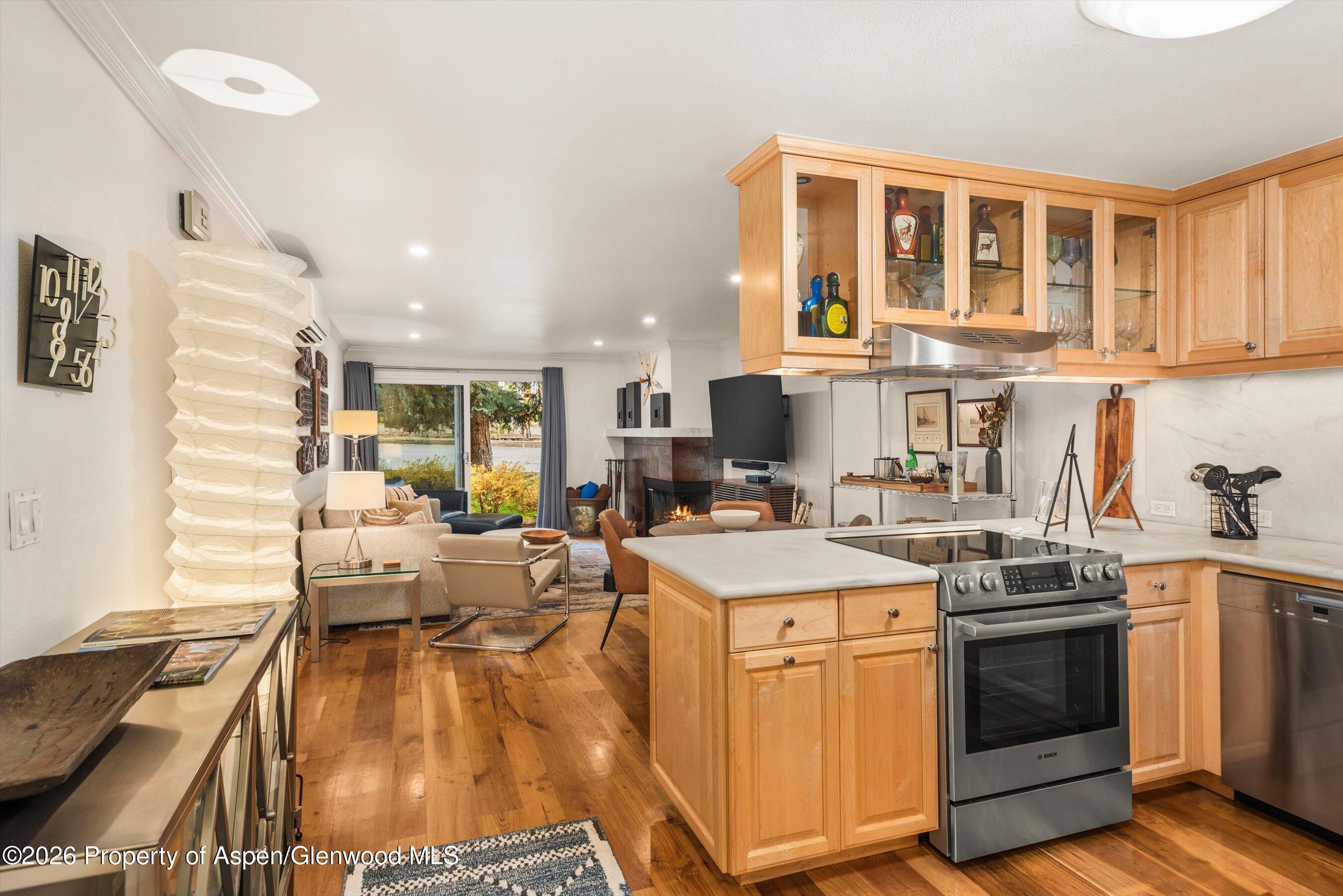 205 E Durant Avenue Aspen CO 81611