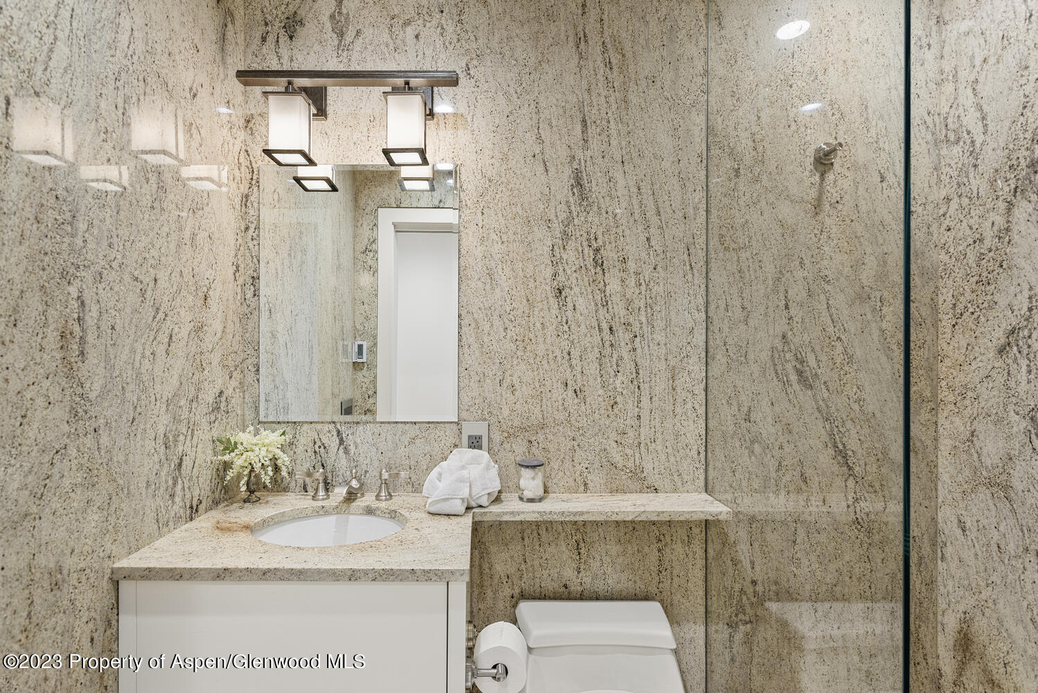 100 E Cooper Avenue Aspen CO 81611