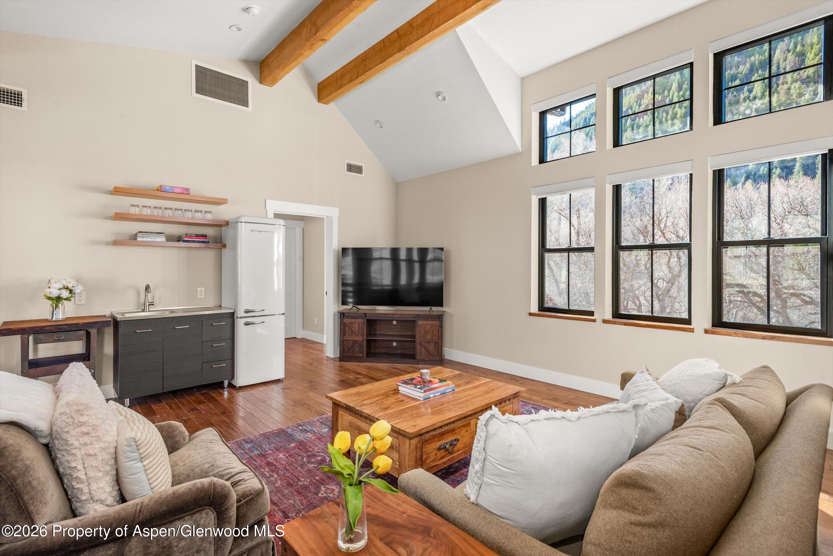 106 Castle View Drive Basalt CO 81621