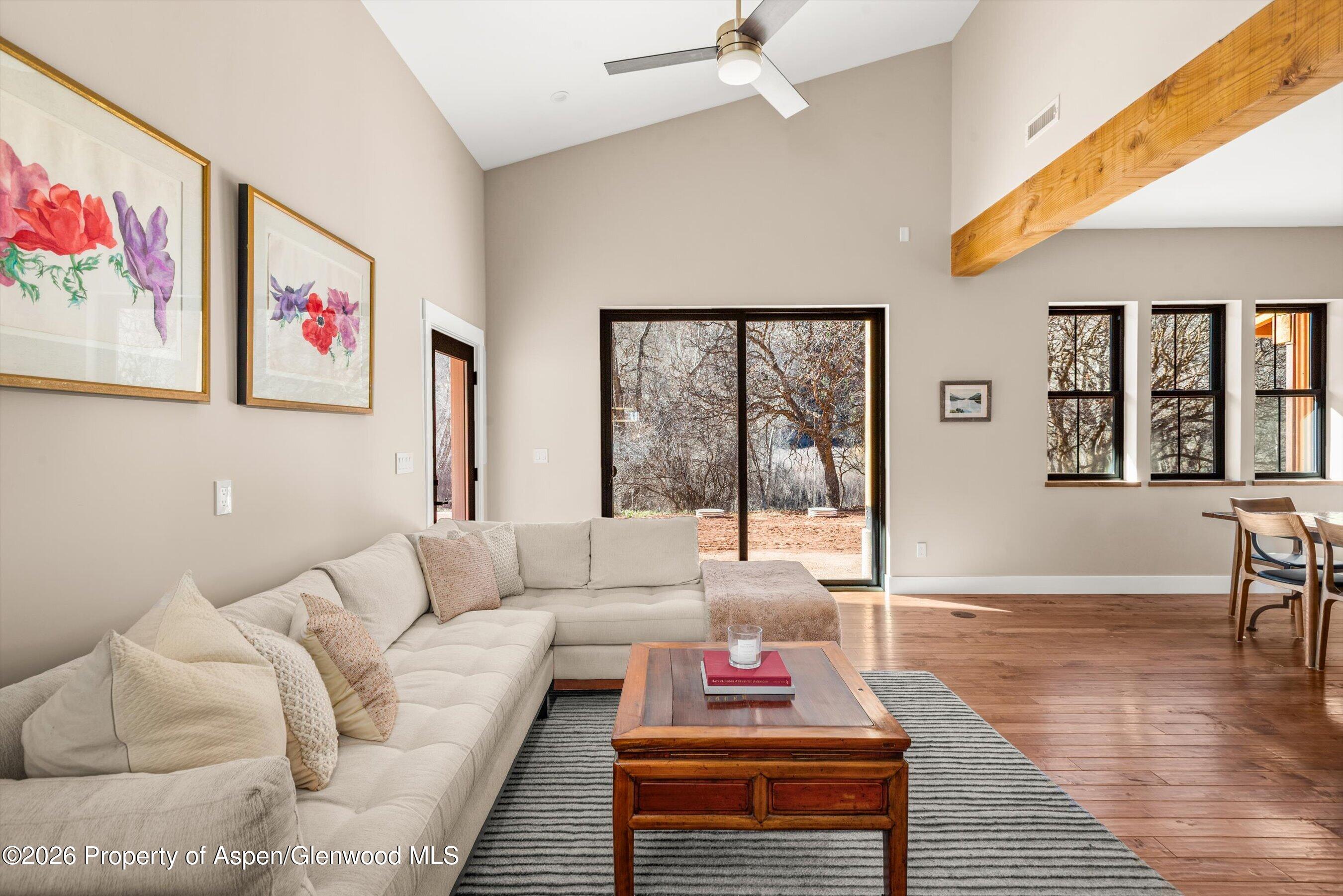 106 Castle View Drive Basalt CO 81621
