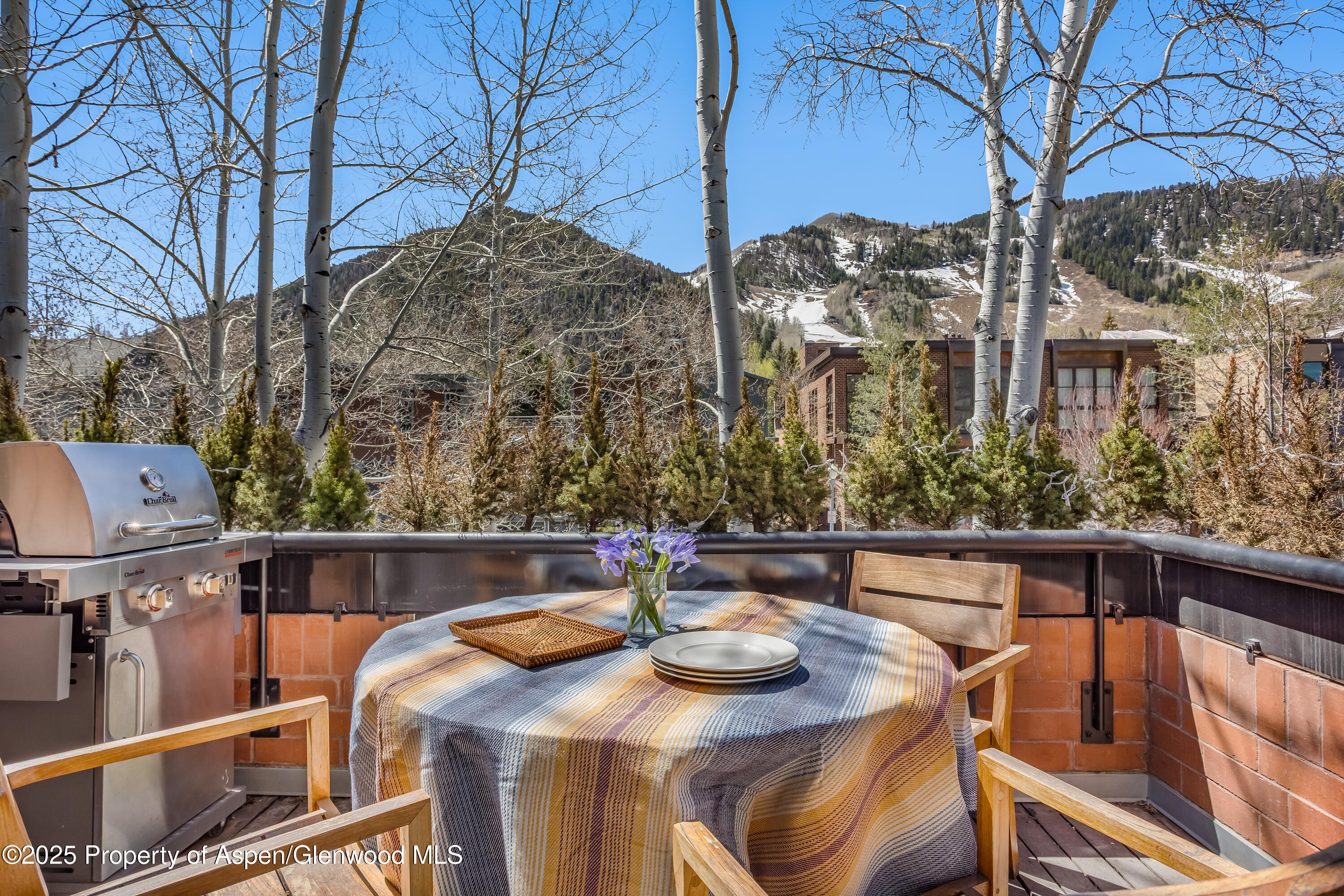 708 E Hyman Avenue Aspen CO 81611