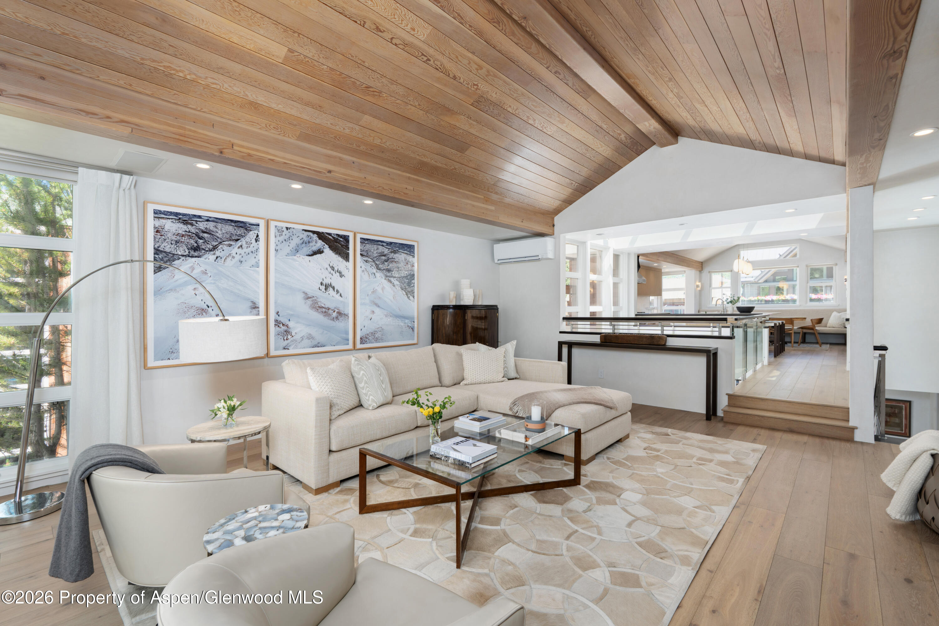 708 E Hyman Avenue Aspen CO 81611