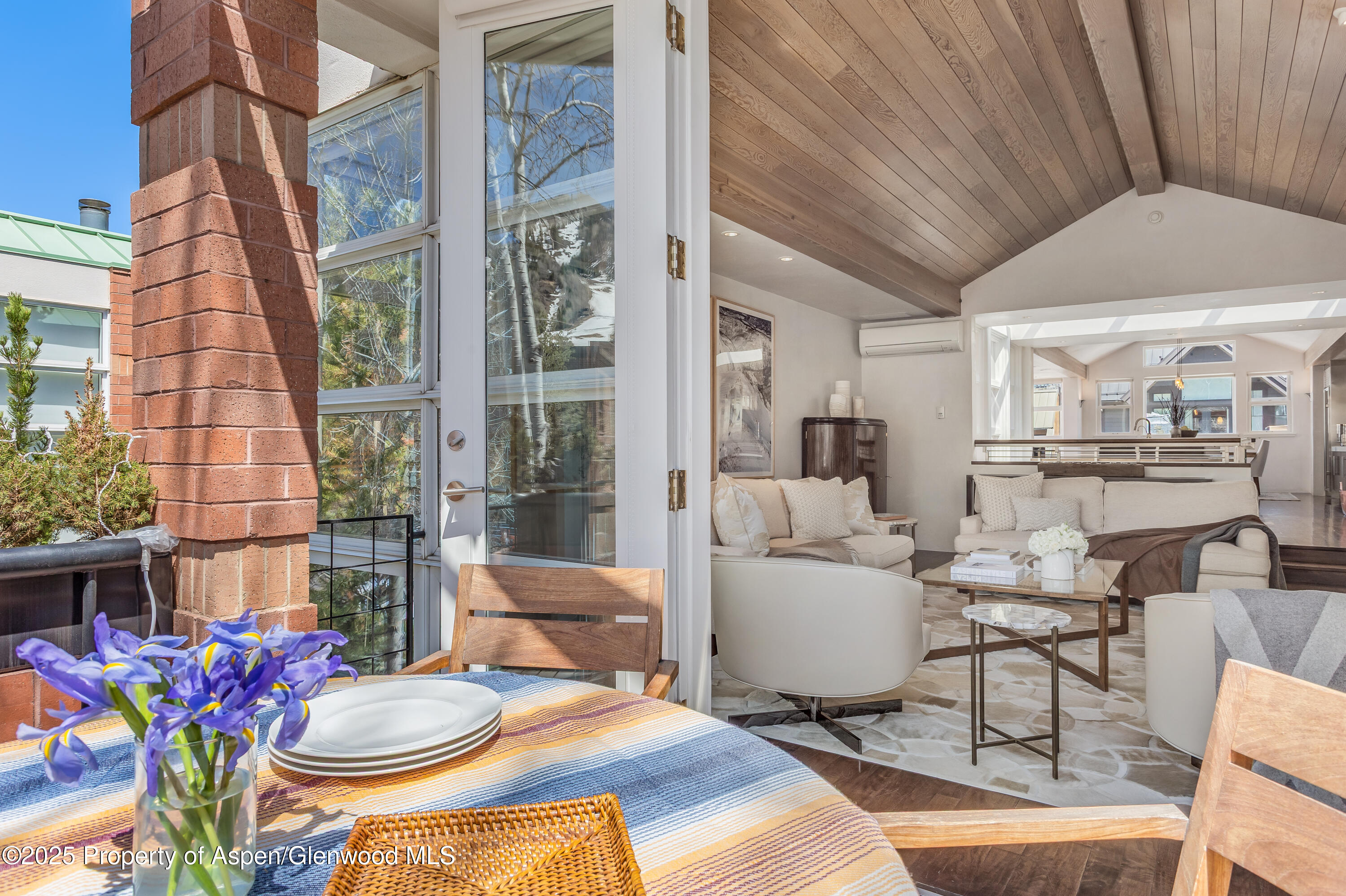 708 E Hyman Avenue Aspen CO 81611