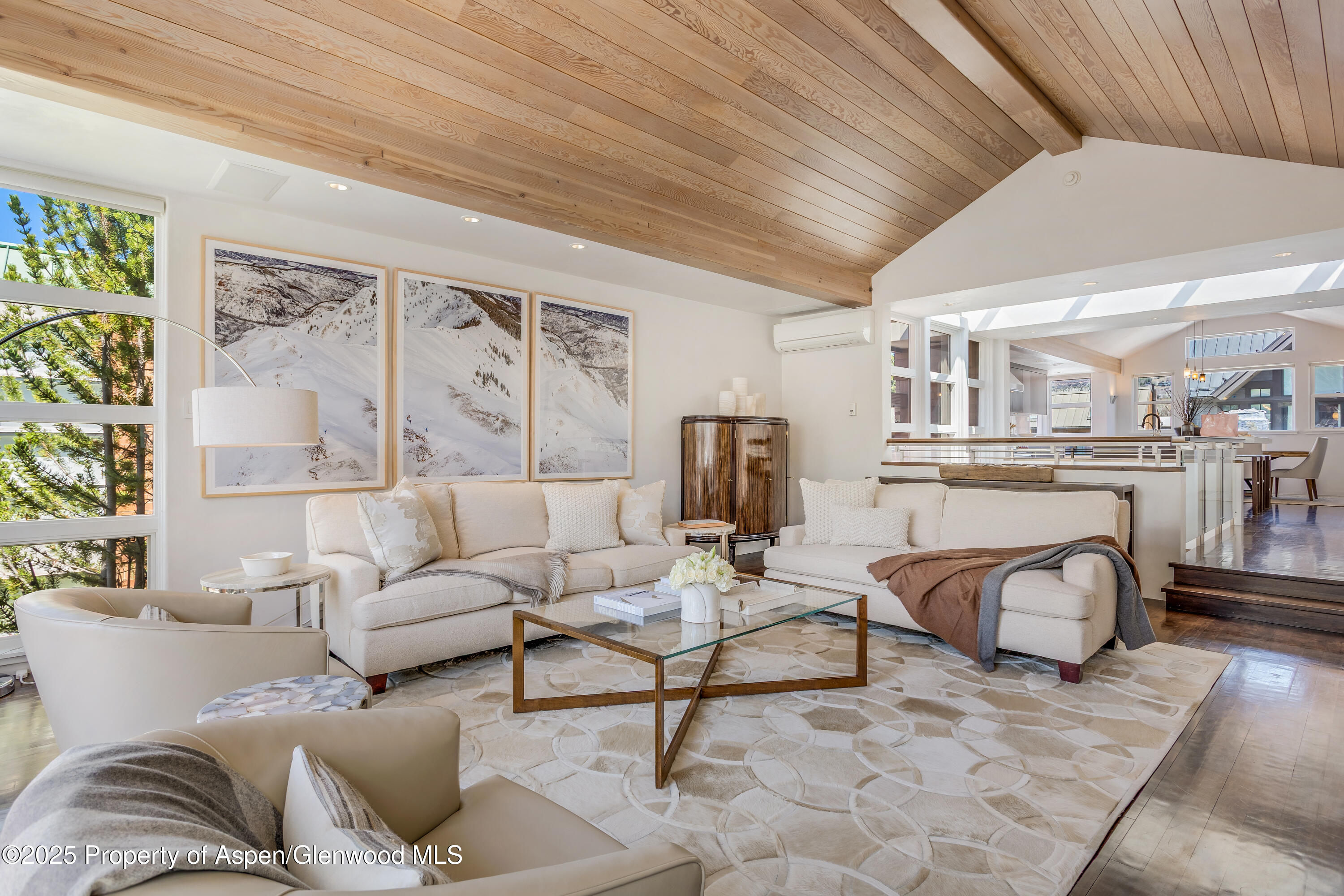 708 E Hyman Avenue Aspen CO 81611