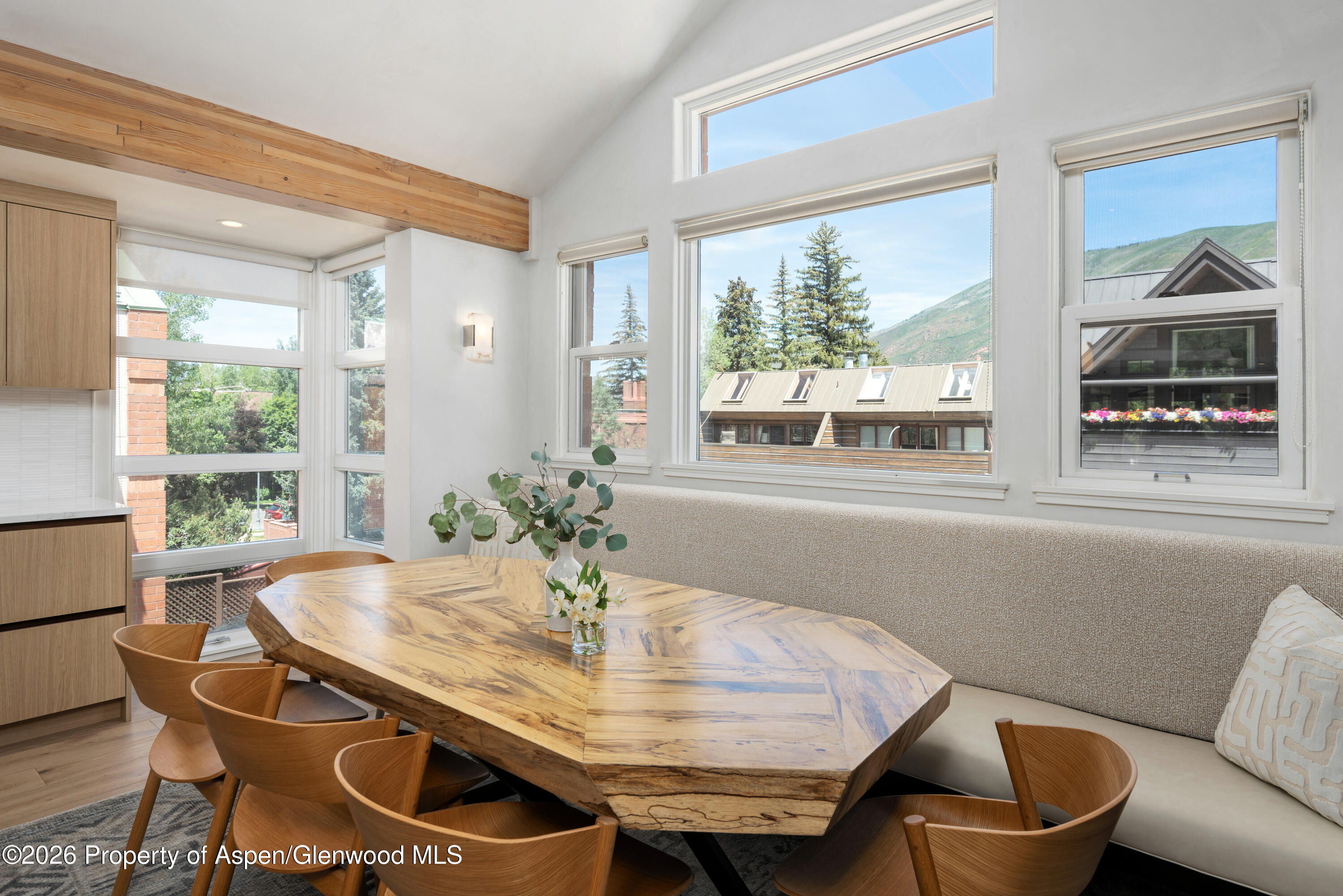 708 E Hyman Avenue Aspen CO 81611