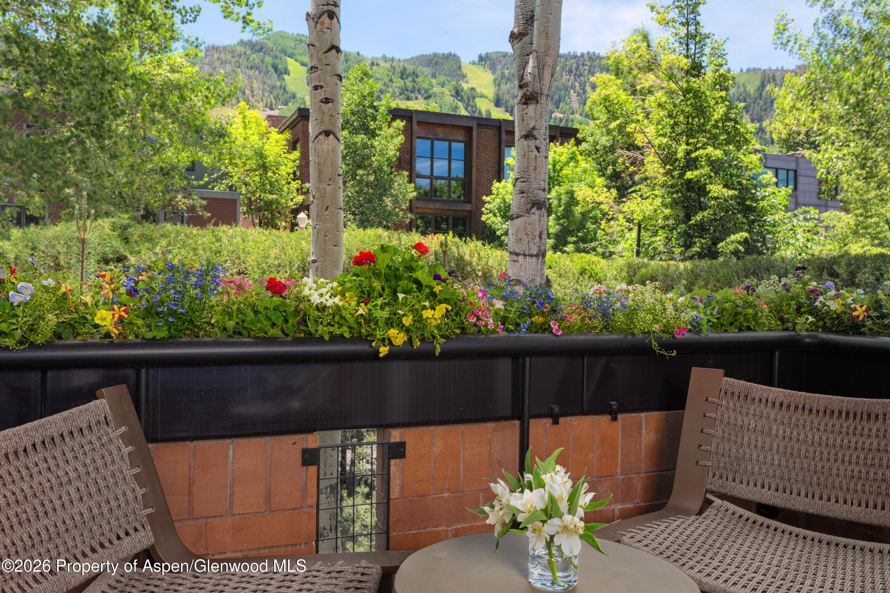 708 E Hyman Avenue Aspen CO 81611