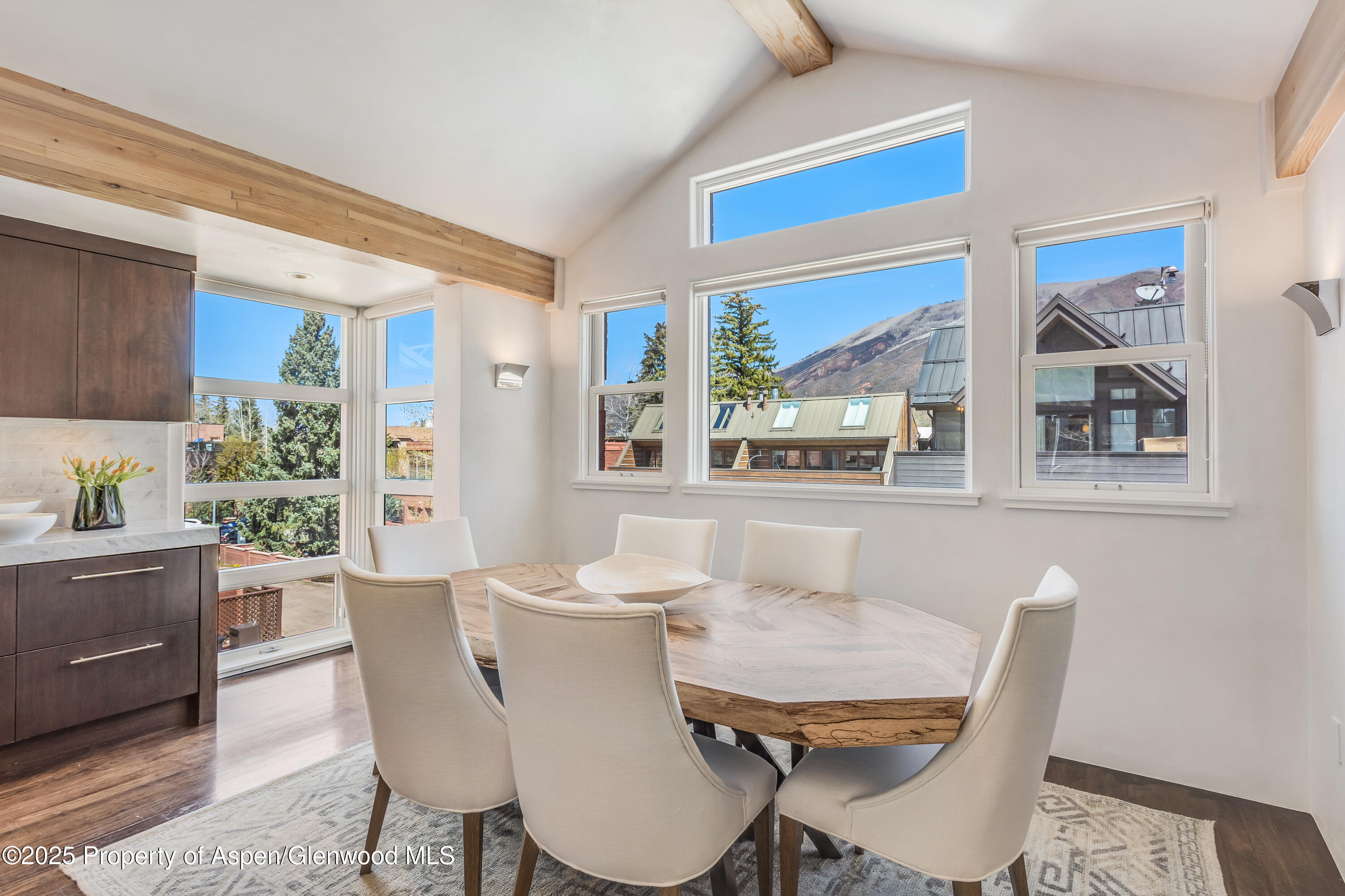 708 E Hyman Avenue Aspen CO 81611