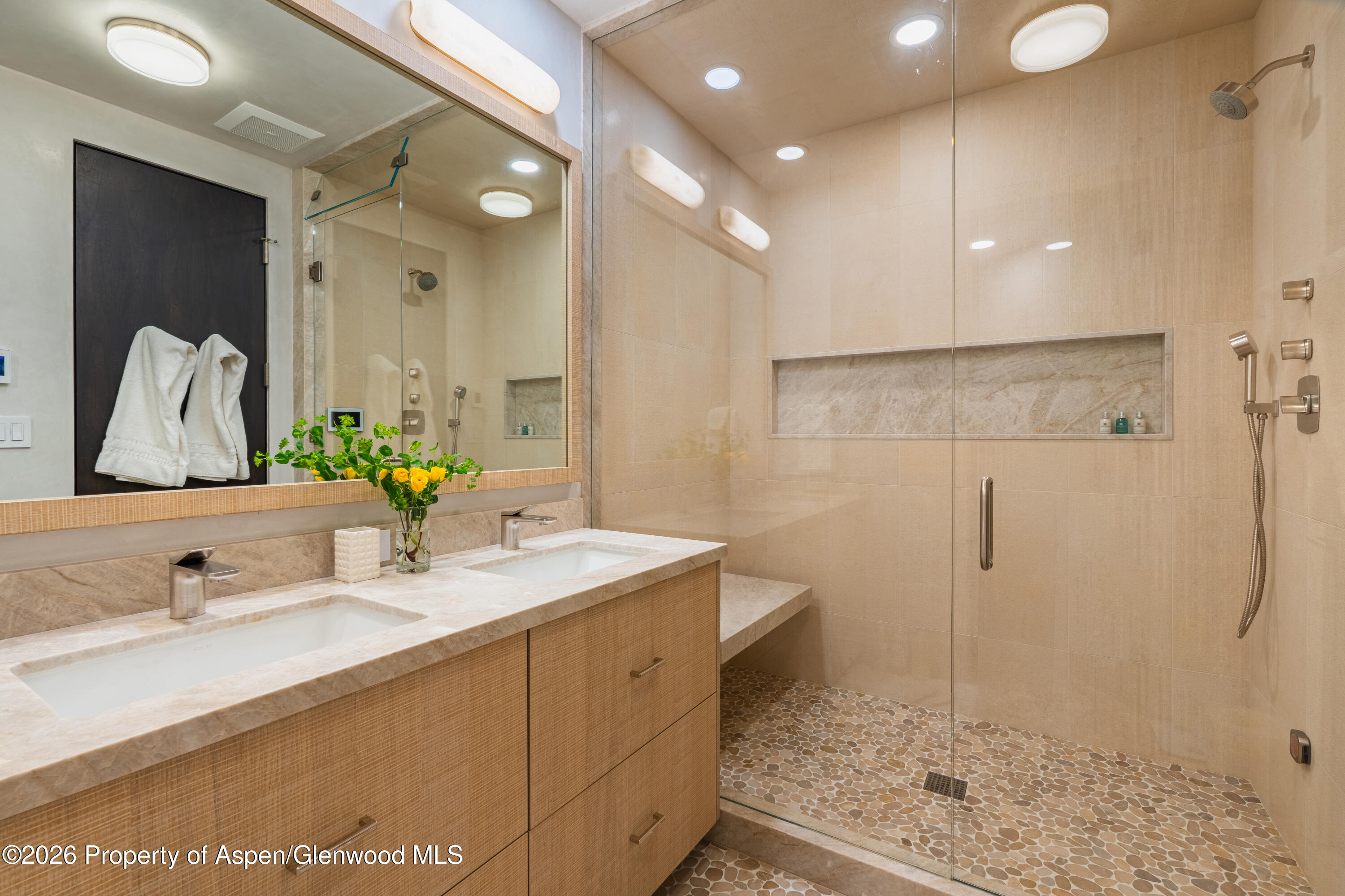 708 E Hyman Avenue Aspen CO 81611