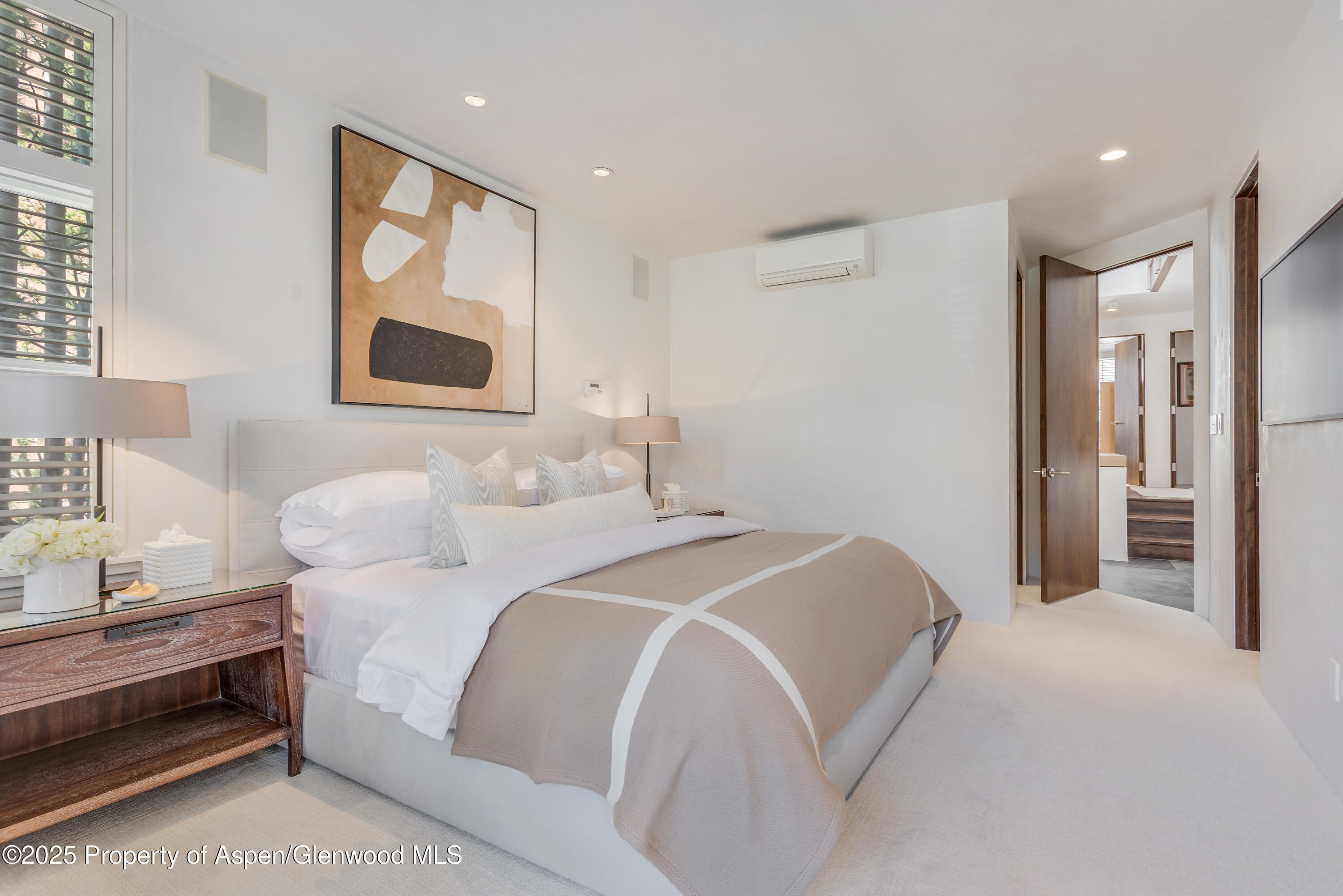 708 E Hyman Avenue Aspen CO 81611