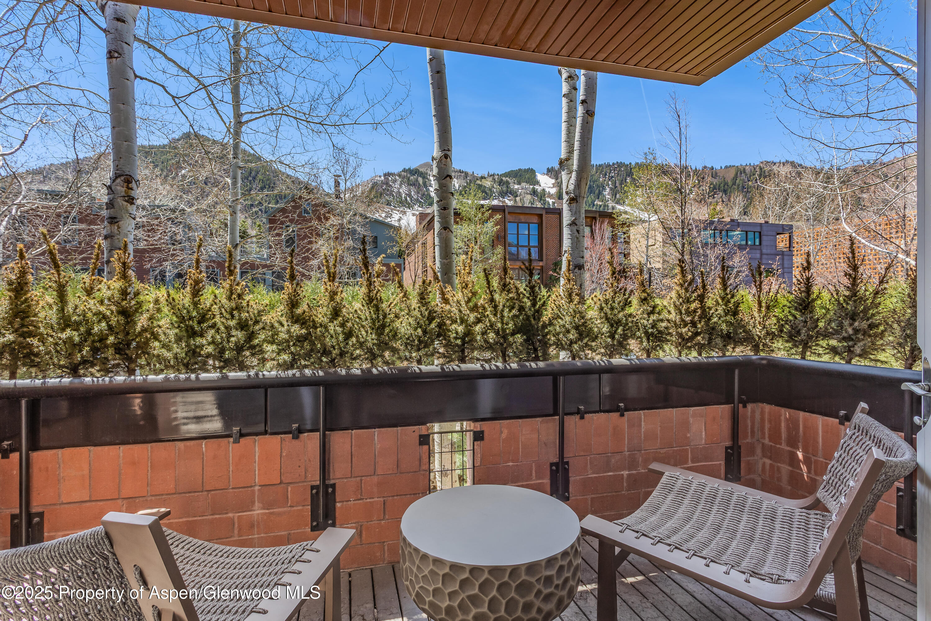 708 E Hyman Avenue Aspen CO 81611