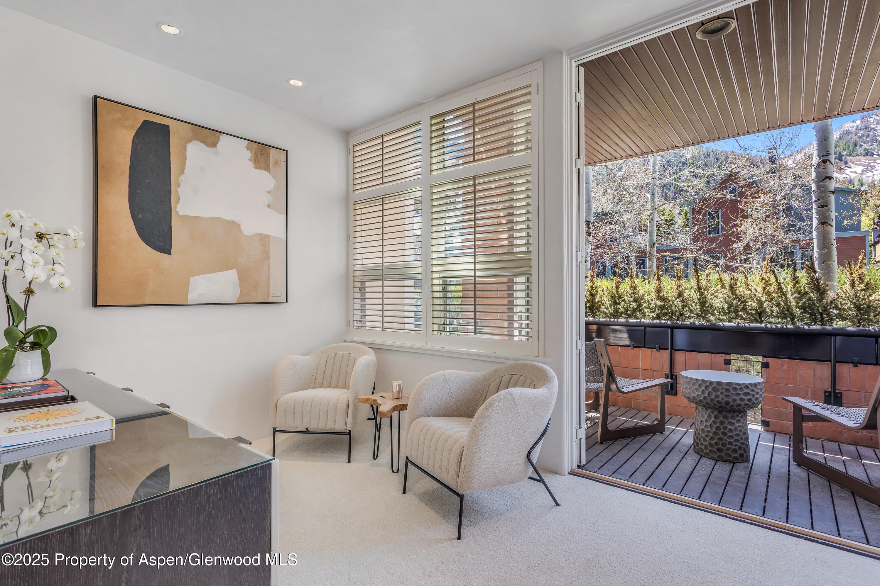 708 E Hyman Avenue Aspen CO 81611