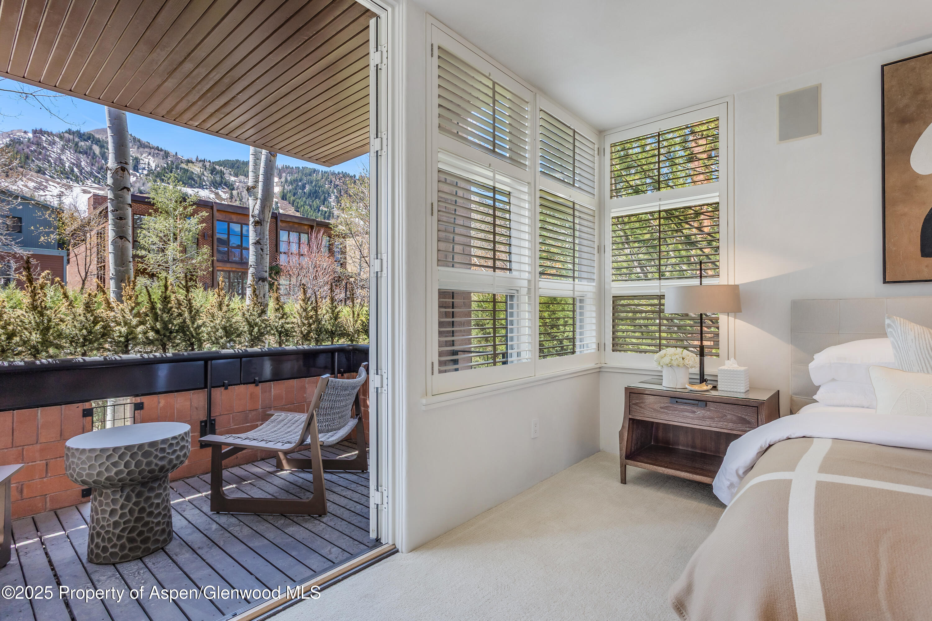 708 E Hyman Avenue Aspen CO 81611