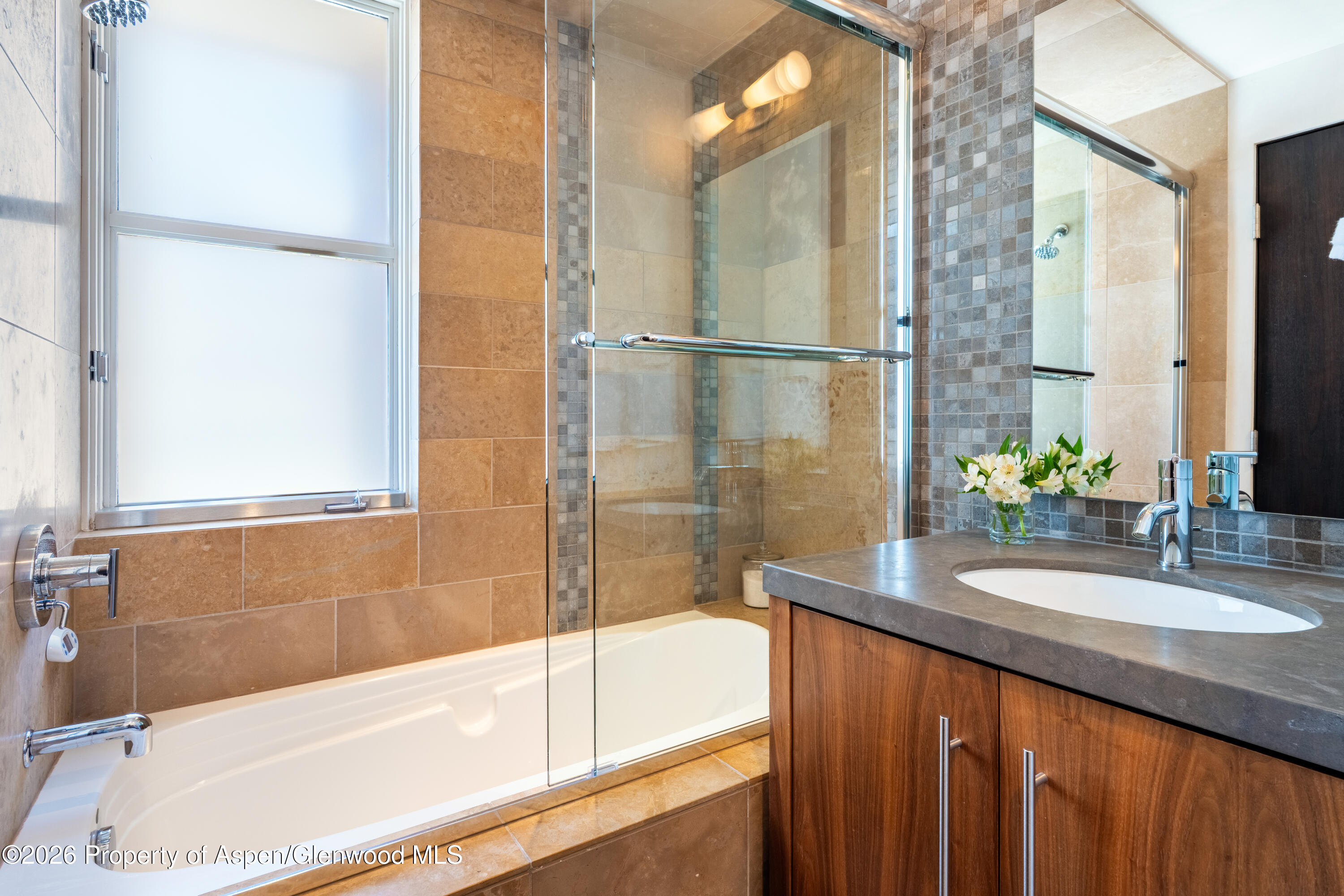 708 E Hyman Avenue Aspen CO 81611