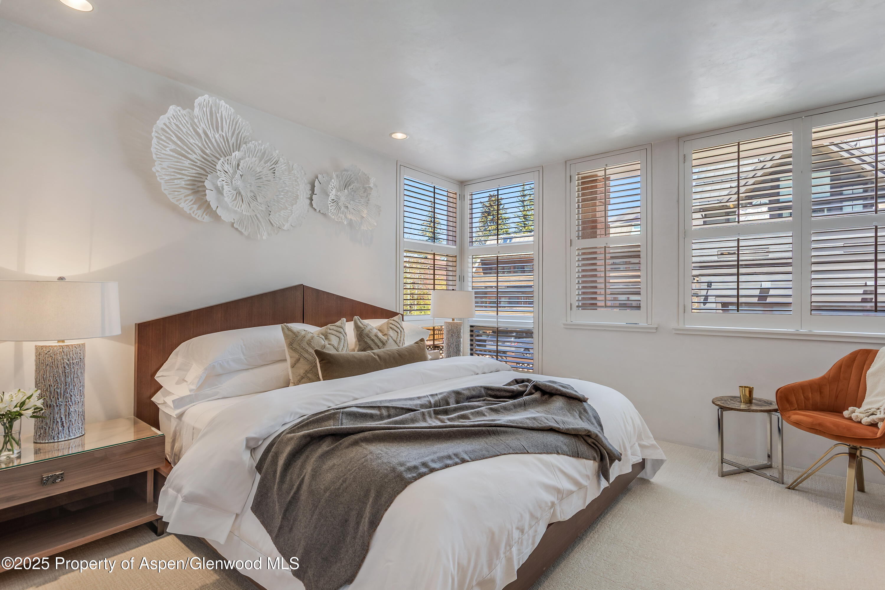 708 E Hyman Avenue Aspen CO 81611