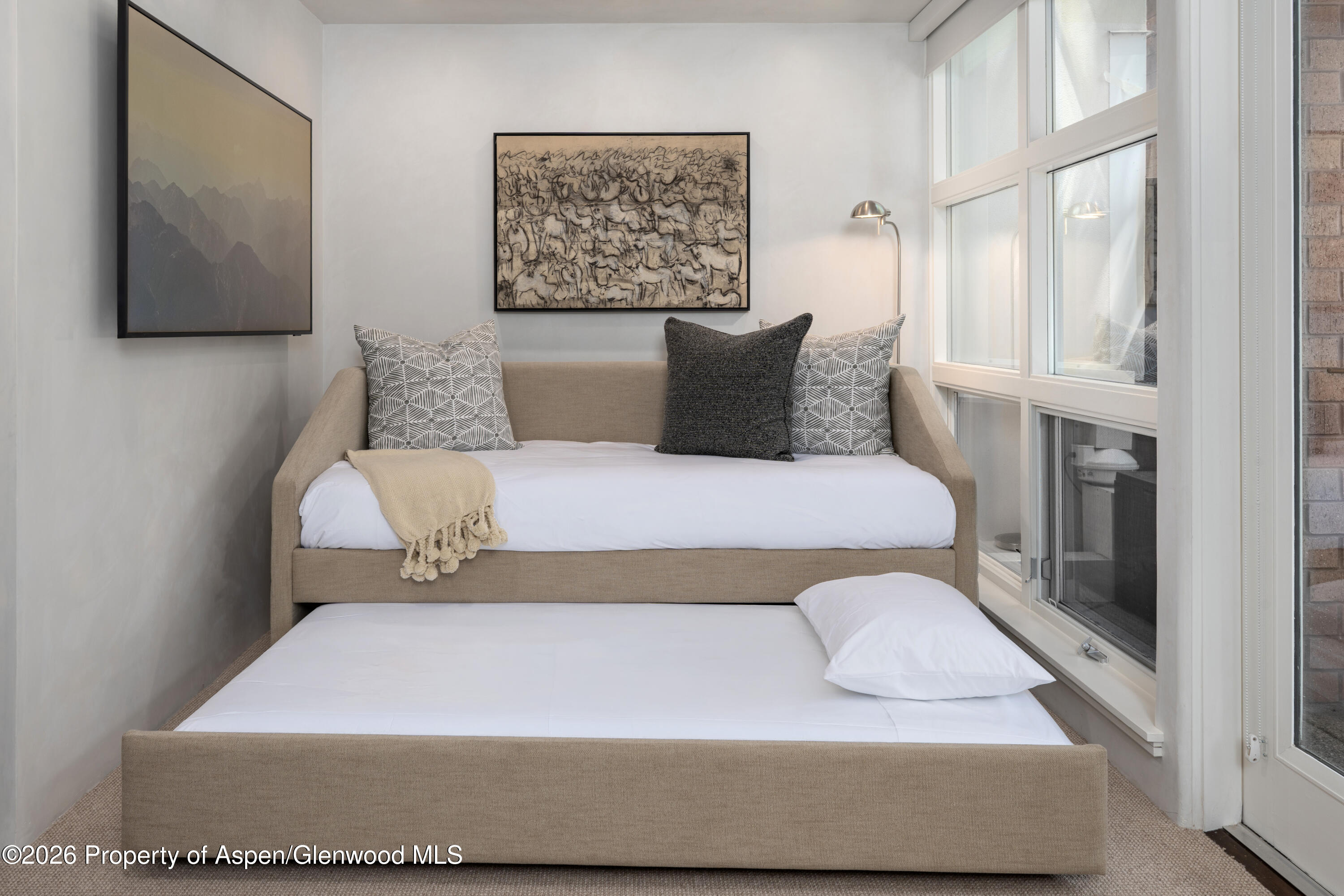 708 E Hyman Avenue Aspen CO 81611