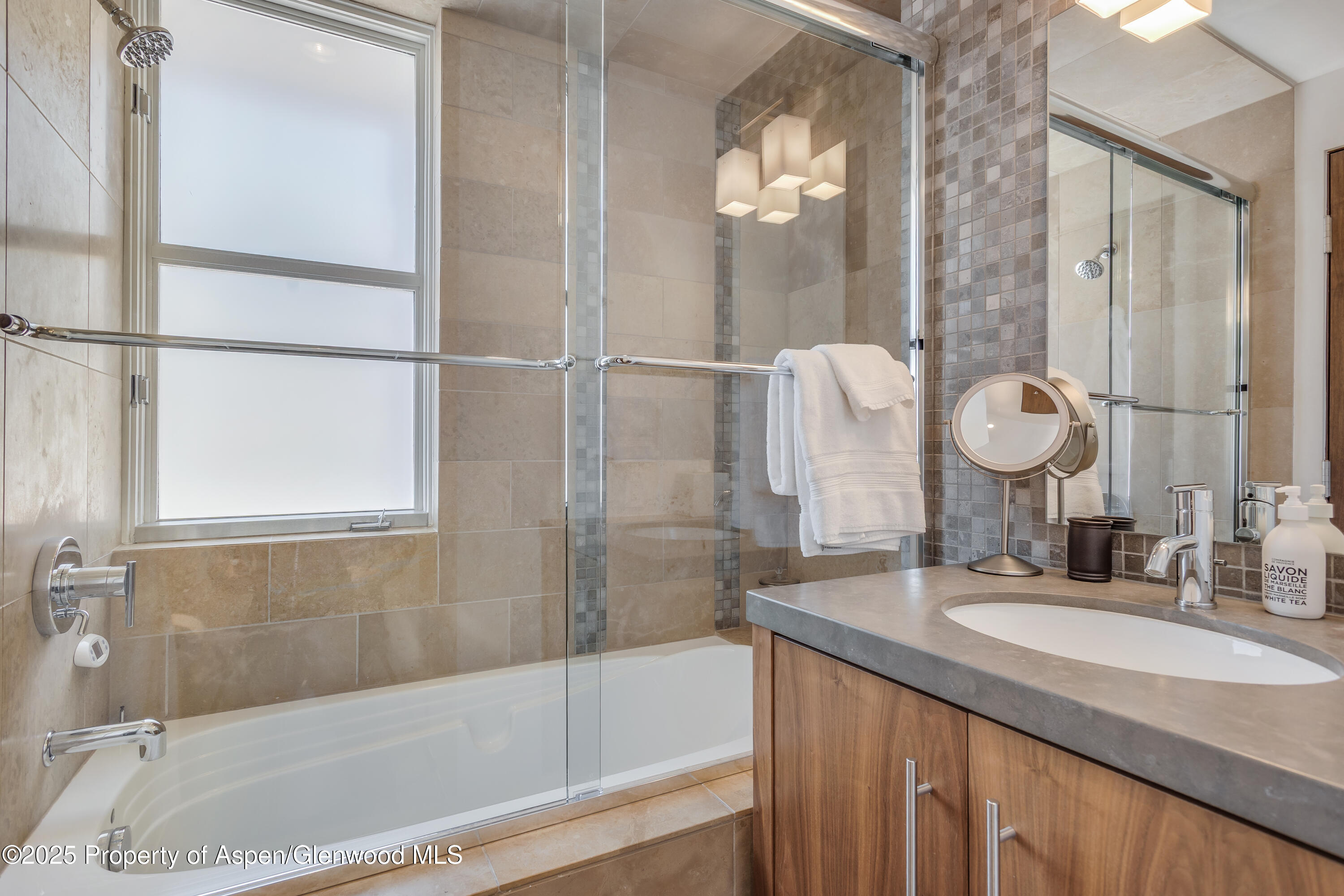 708 E Hyman Avenue Aspen CO 81611