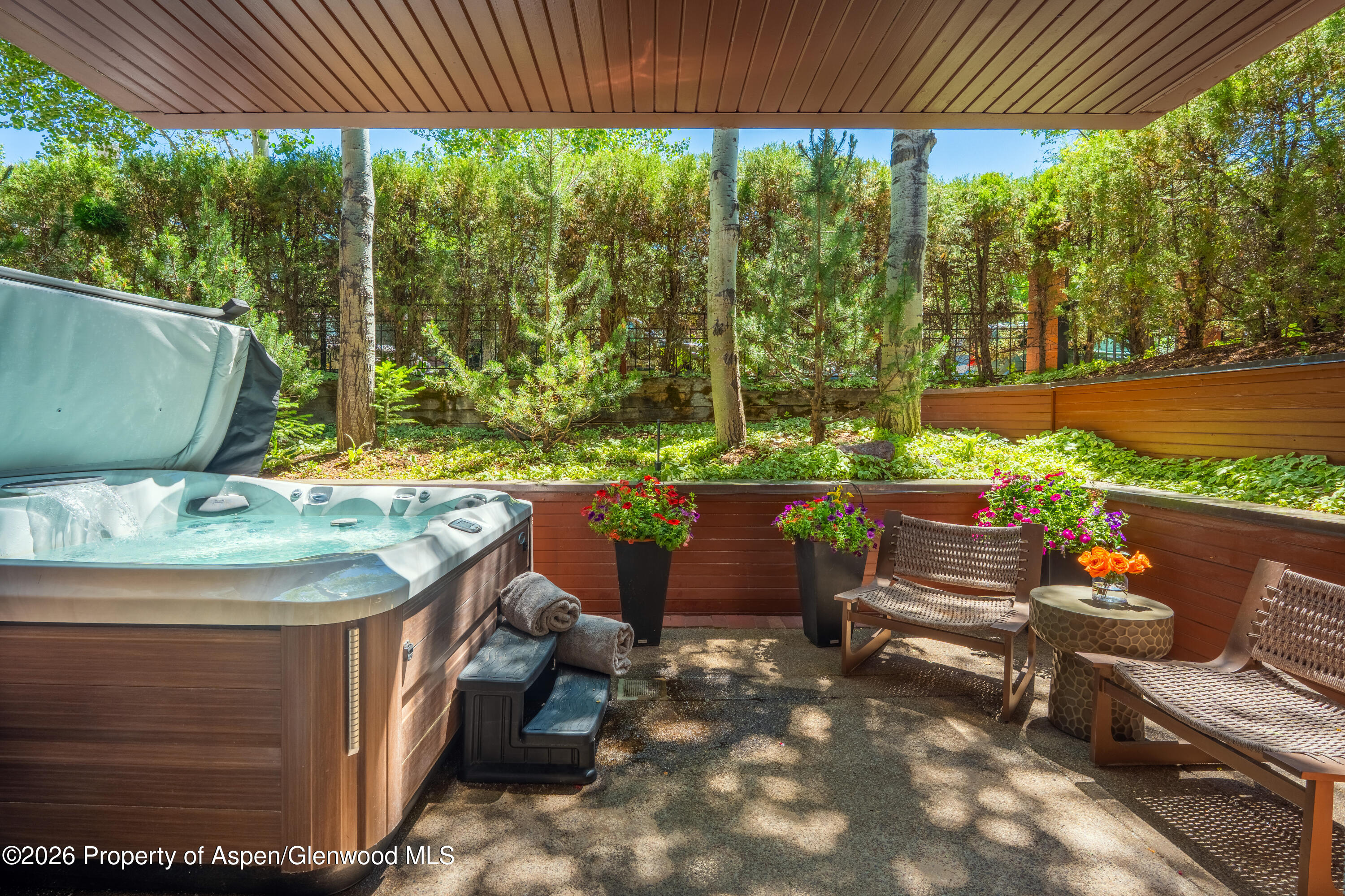 708 E Hyman Avenue Aspen CO 81611