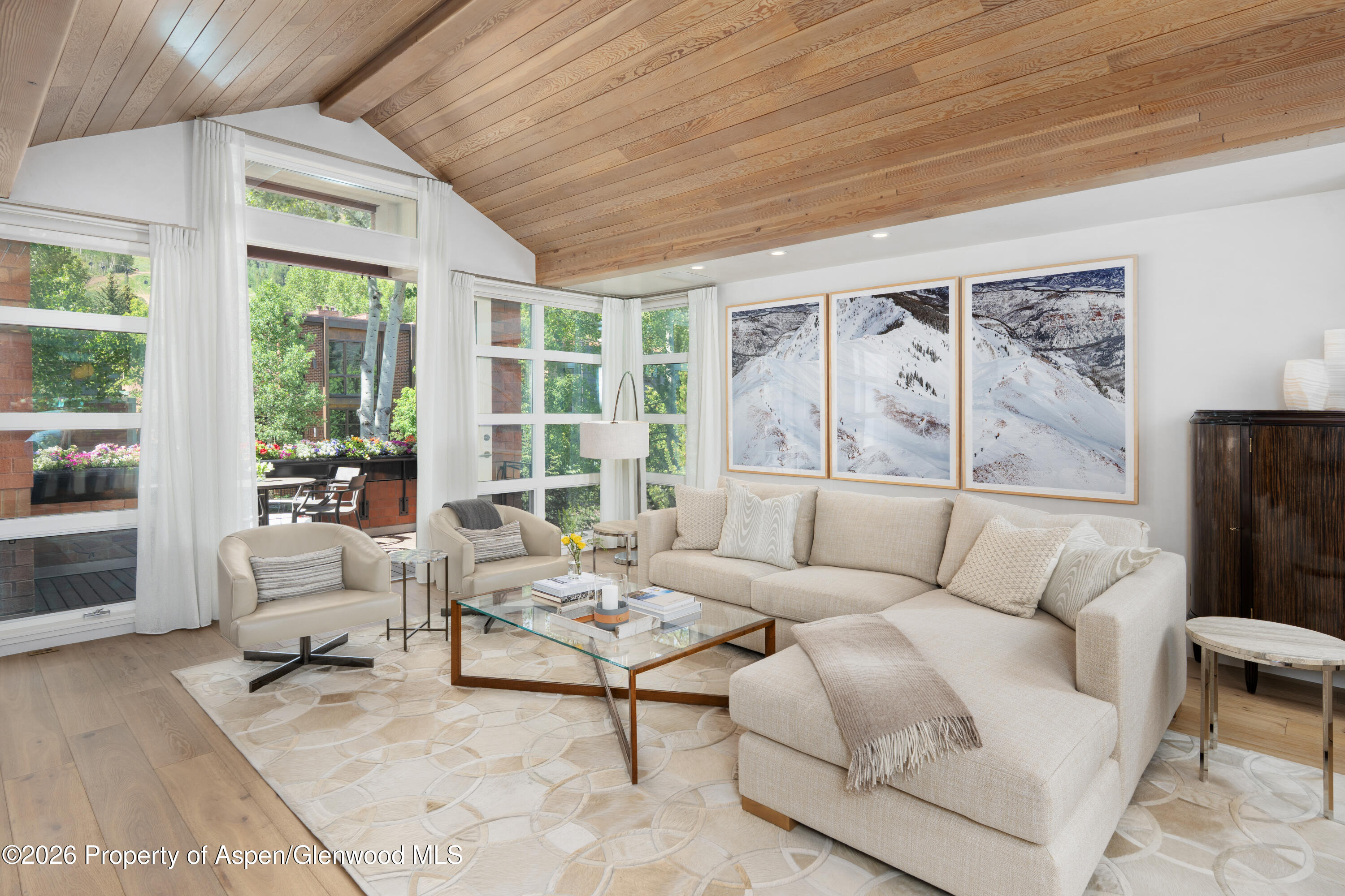 708 E Hyman Avenue Aspen CO 81611