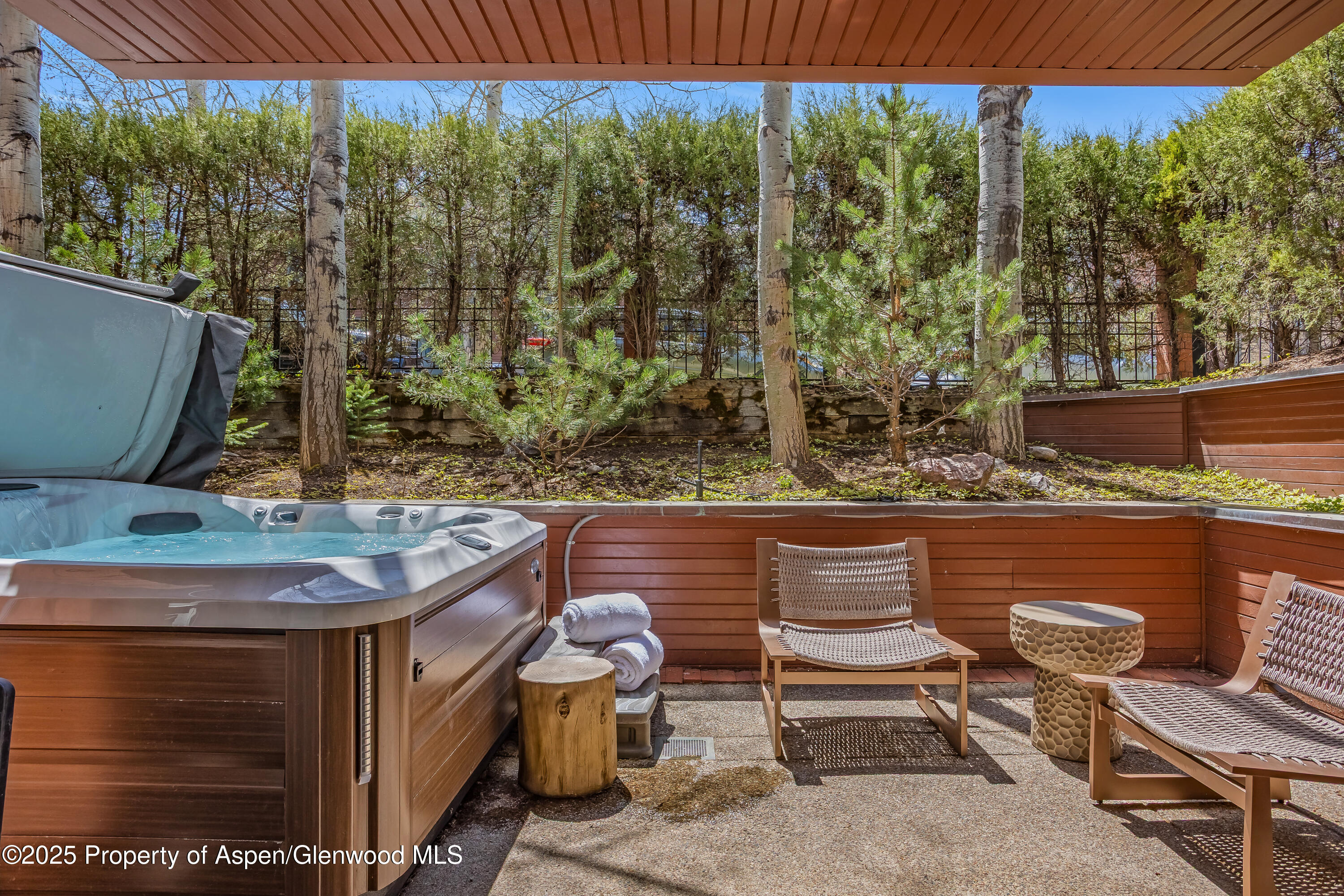 708 E Hyman Avenue Aspen CO 81611