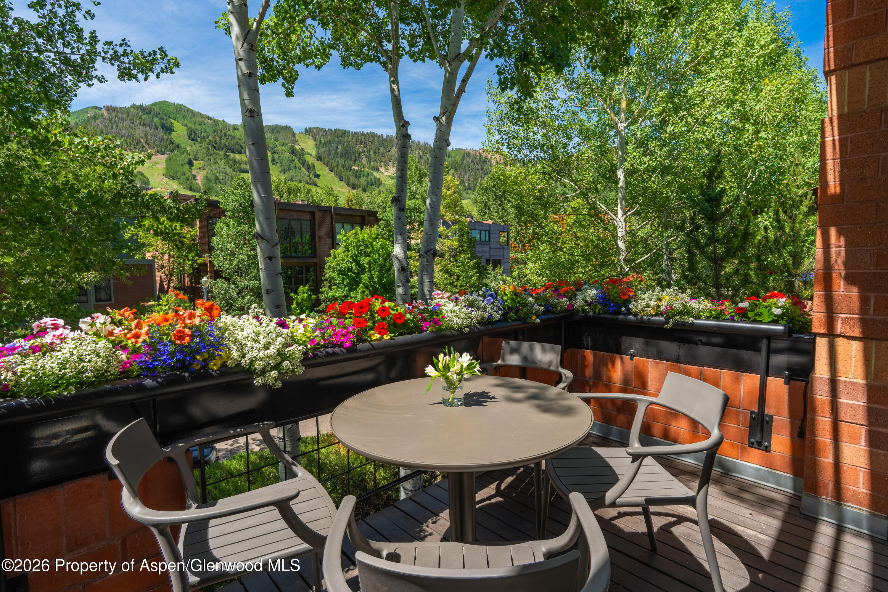 708 E Hyman Avenue Aspen CO 81611