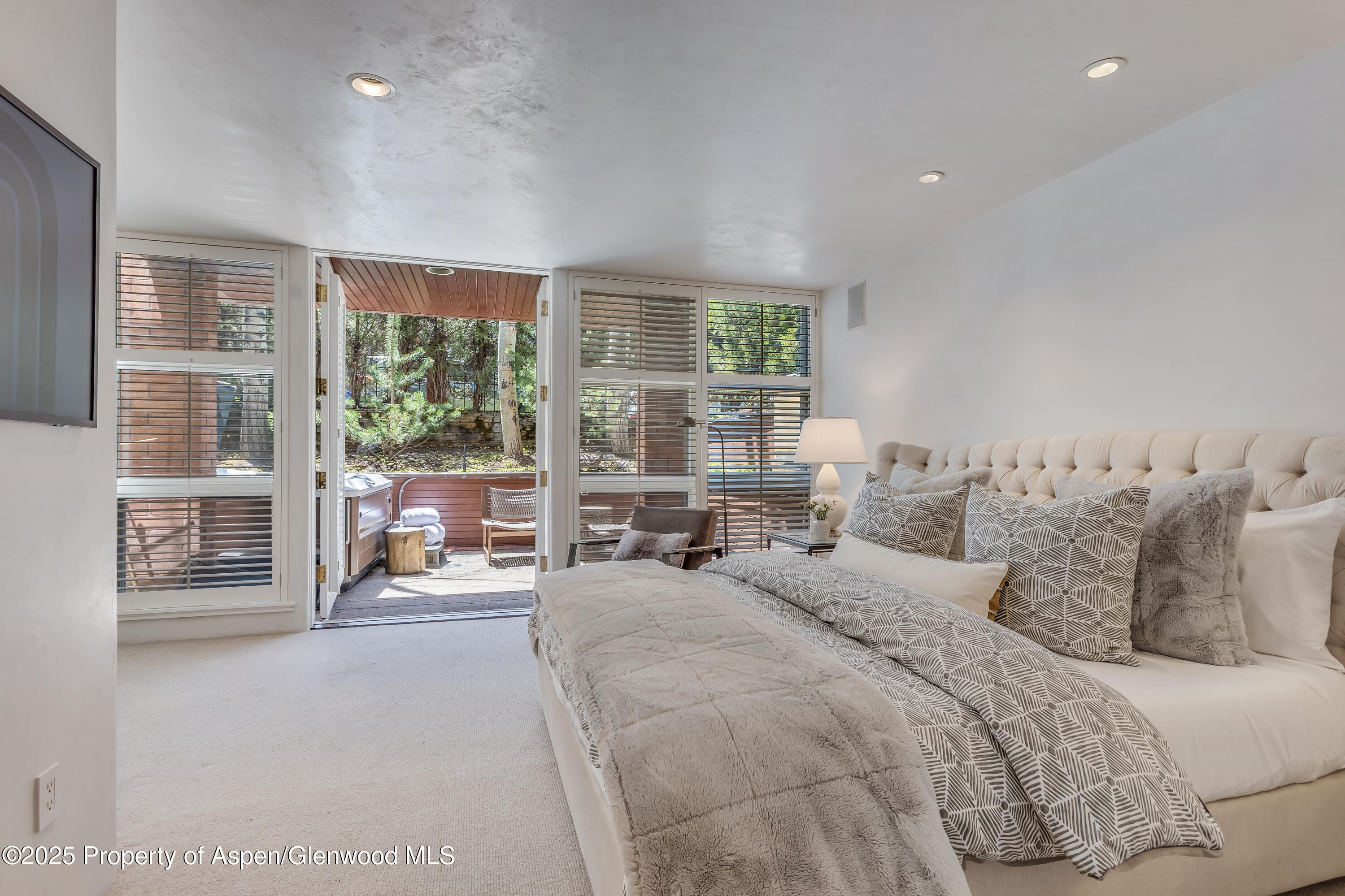 708 E Hyman Avenue Aspen CO 81611